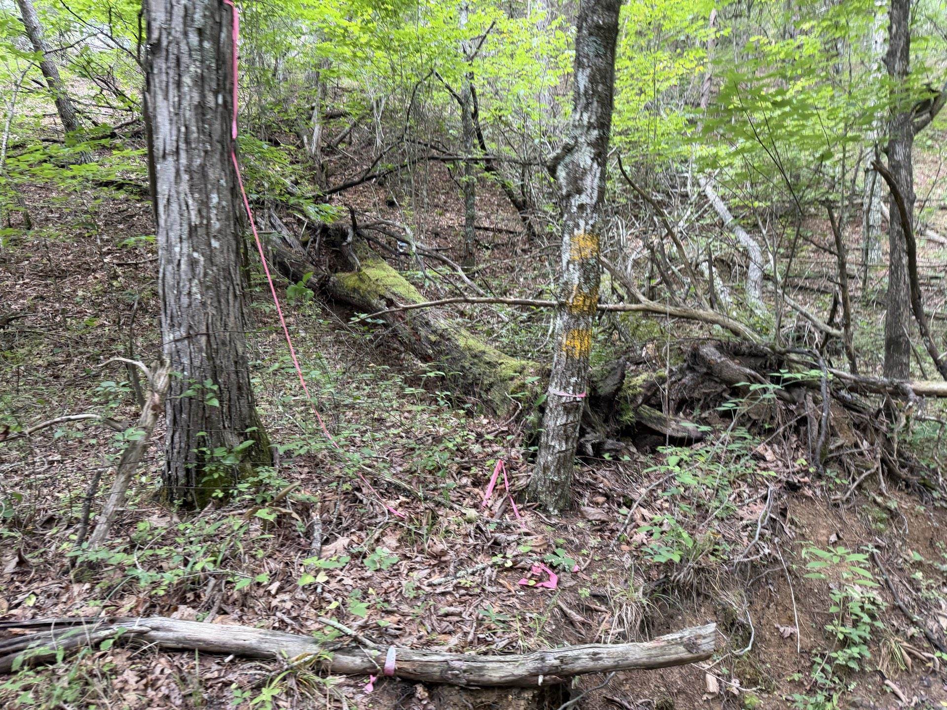 Tbd Short Ridge Drive Bland VA 24315
