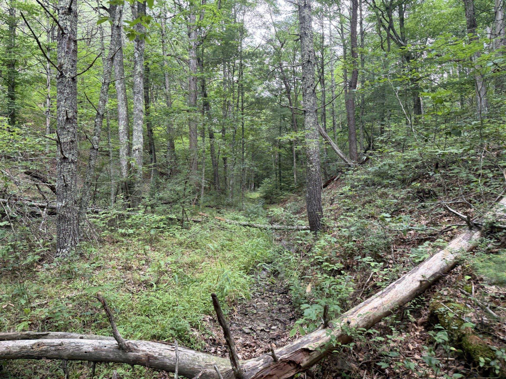 Tbd Short Ridge Drive Bland VA 24315