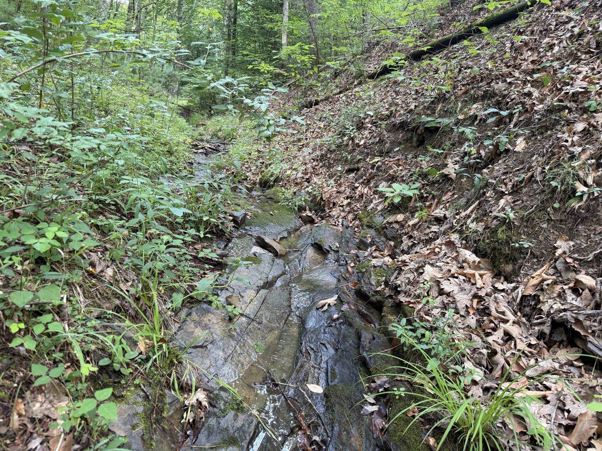 Tbd Short Ridge Drive Bland VA 24315