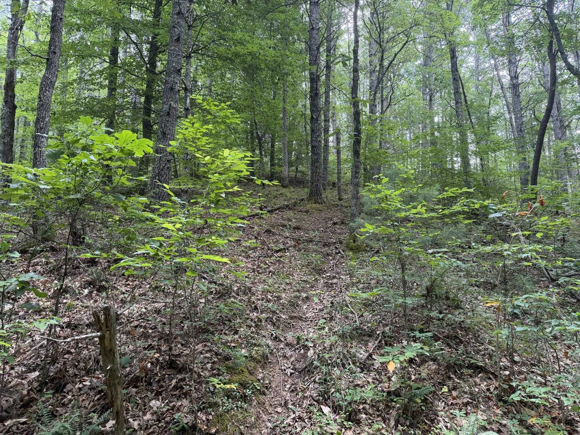 Tbd Short Ridge Drive Bland VA 24315