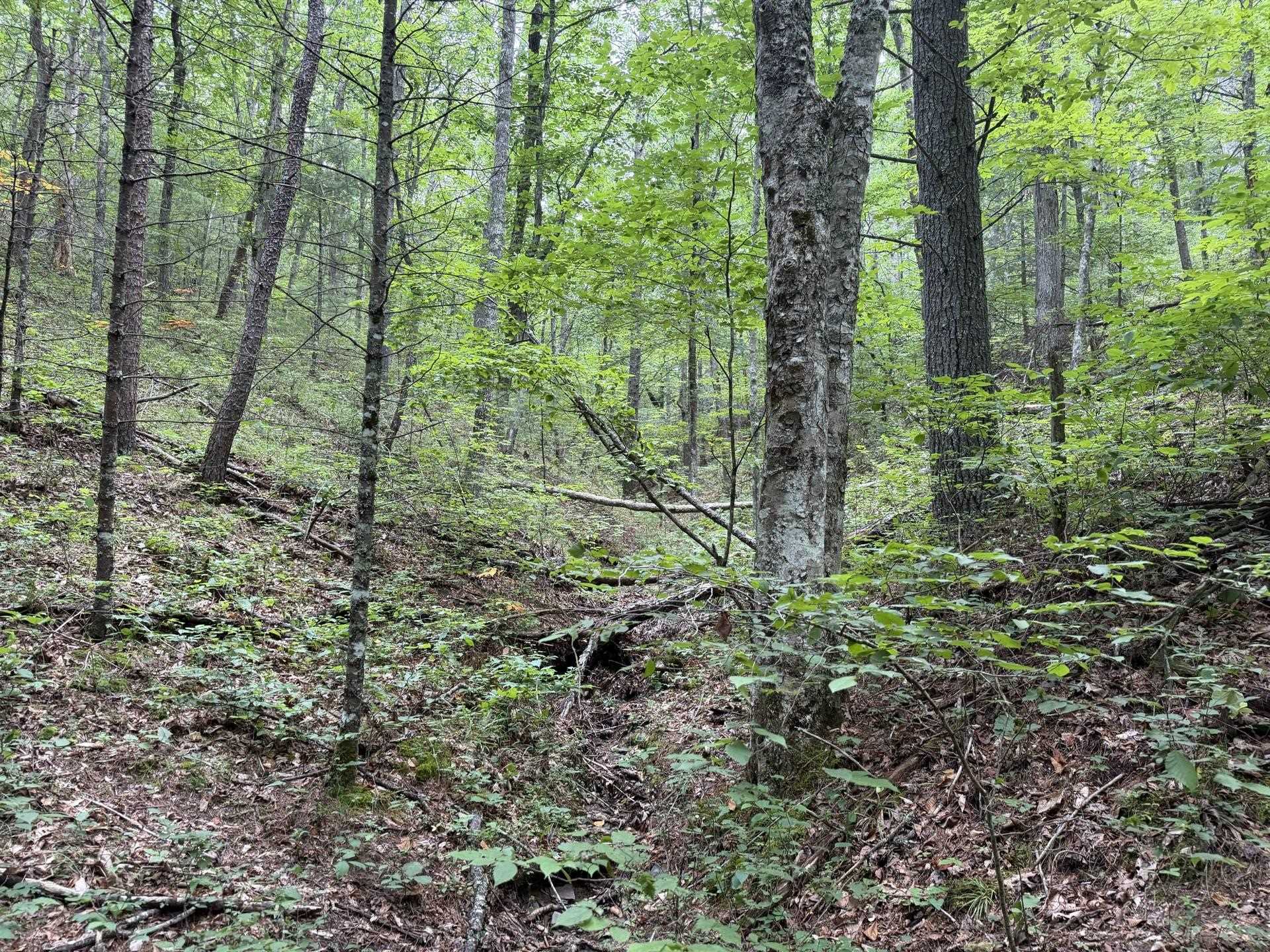 Tbd Short Ridge Drive Bland VA 24315