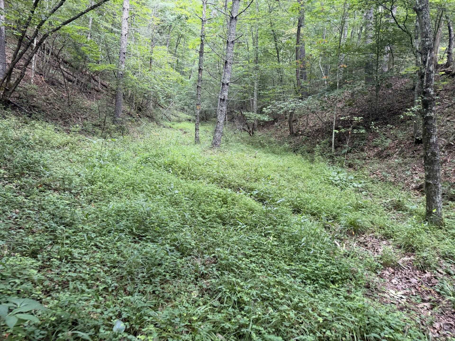 Tbd Short Ridge Drive Bland VA 24315