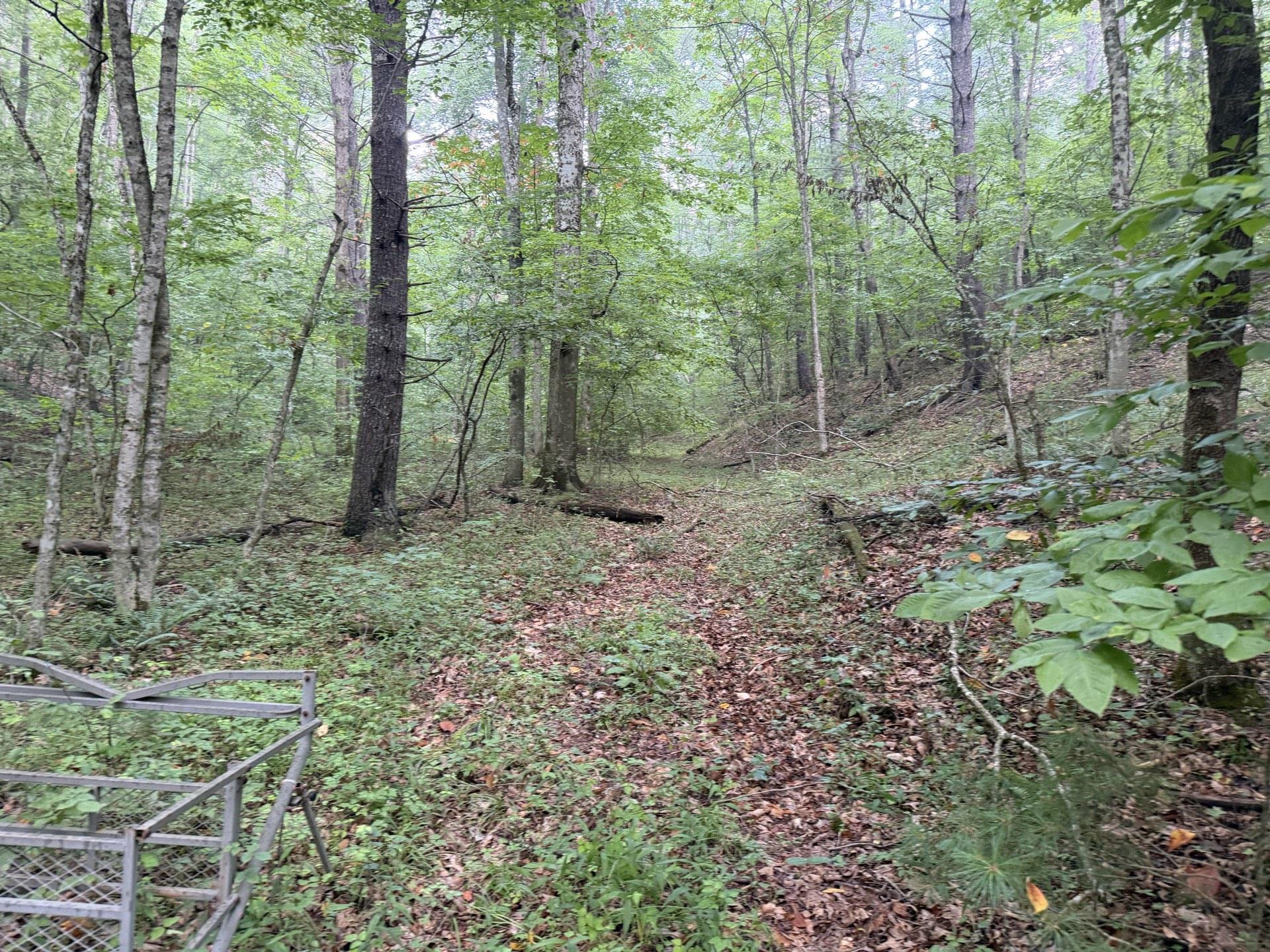 Tbd Short Ridge Drive Bland VA 24315