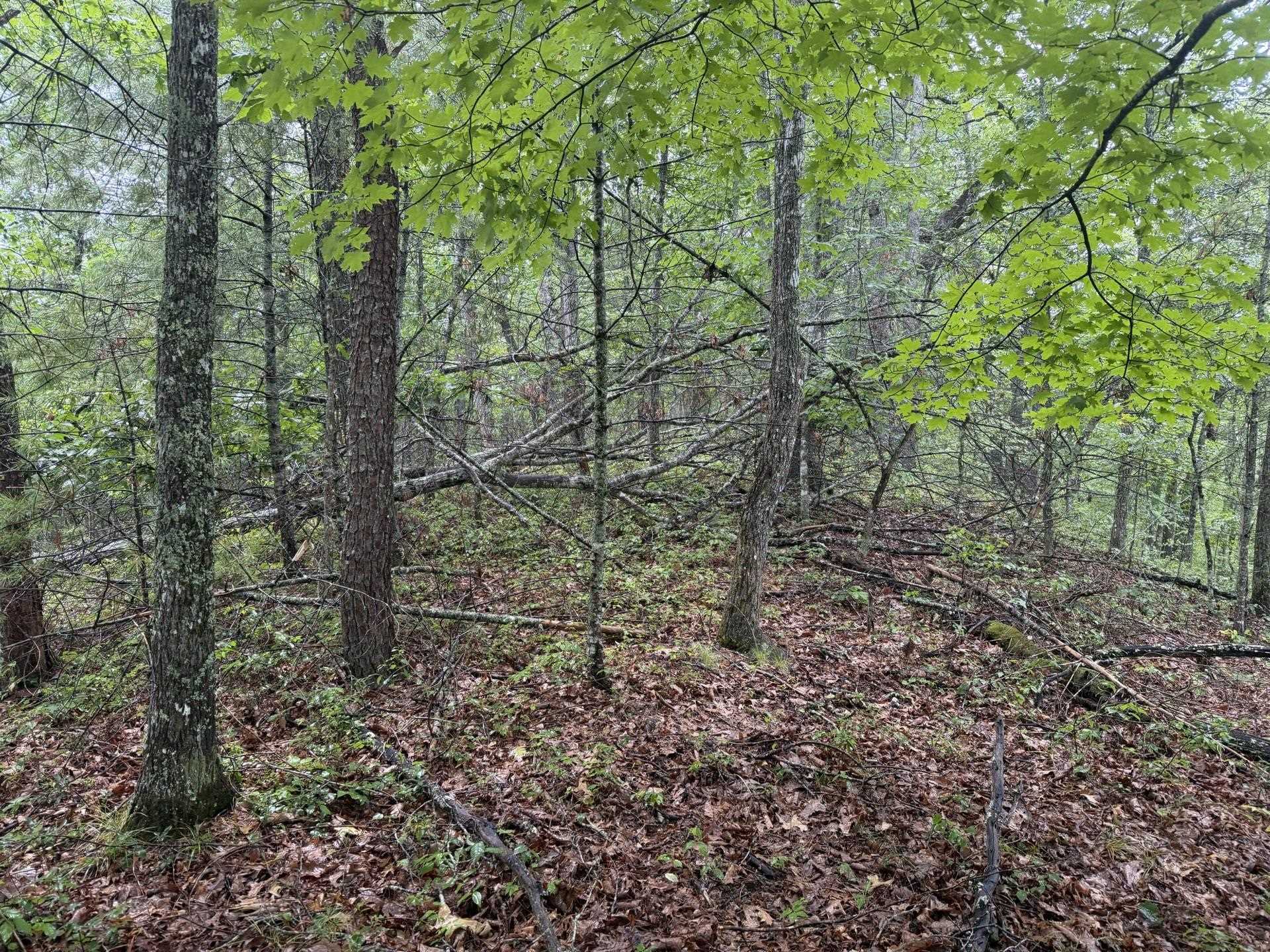 Tbd Short Ridge Drive Bland VA 24315