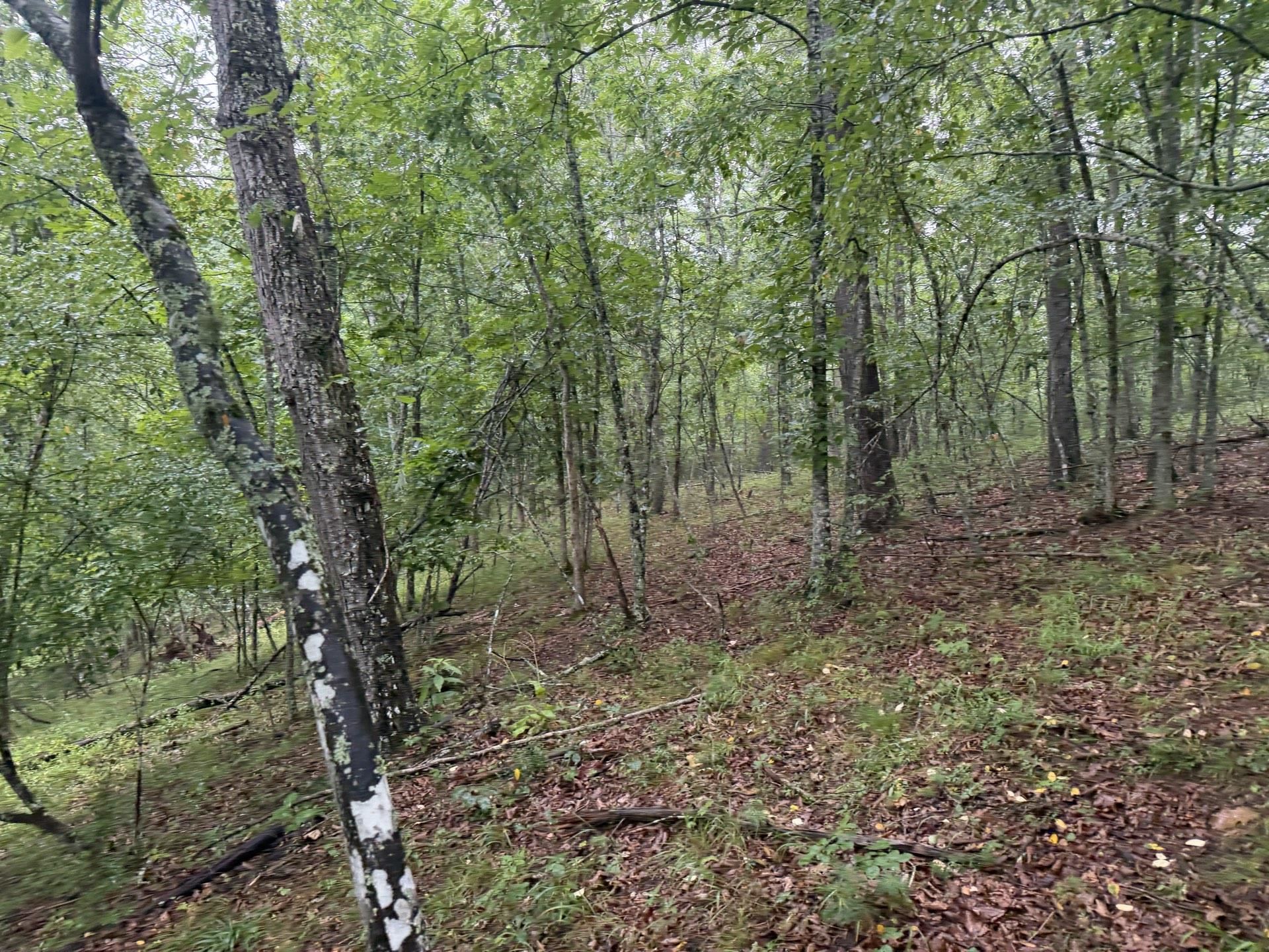 Tbd Short Ridge Drive Bland VA 24315