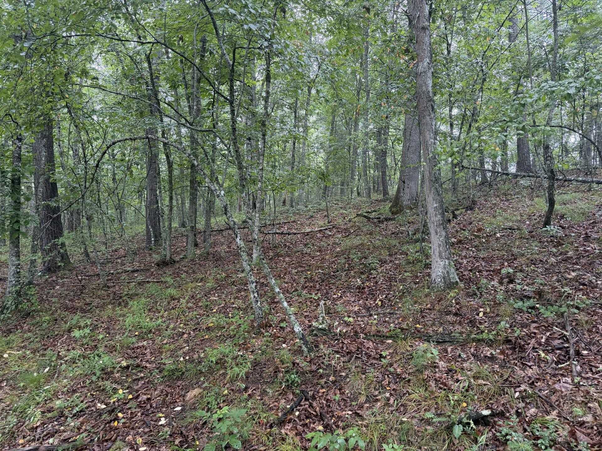 Tbd Short Ridge Drive Bland VA 24315