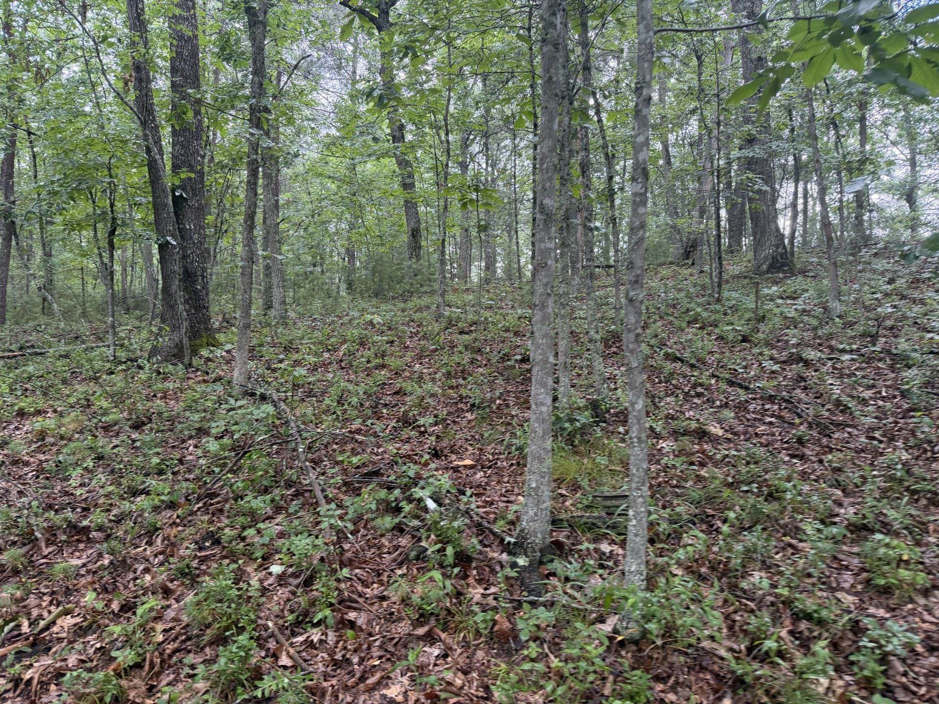 Tbd Short Ridge Drive Bland VA 24315