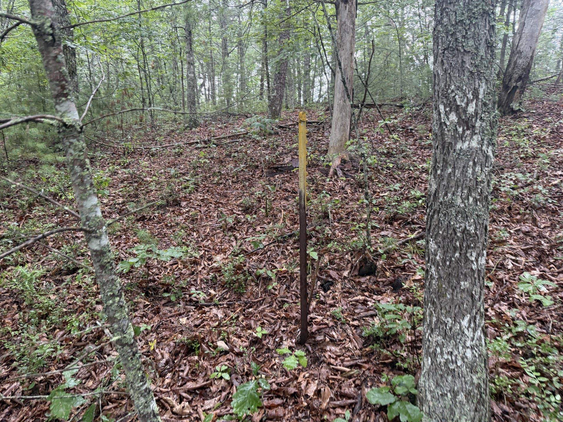 Tbd Short Ridge Drive Bland VA 24315