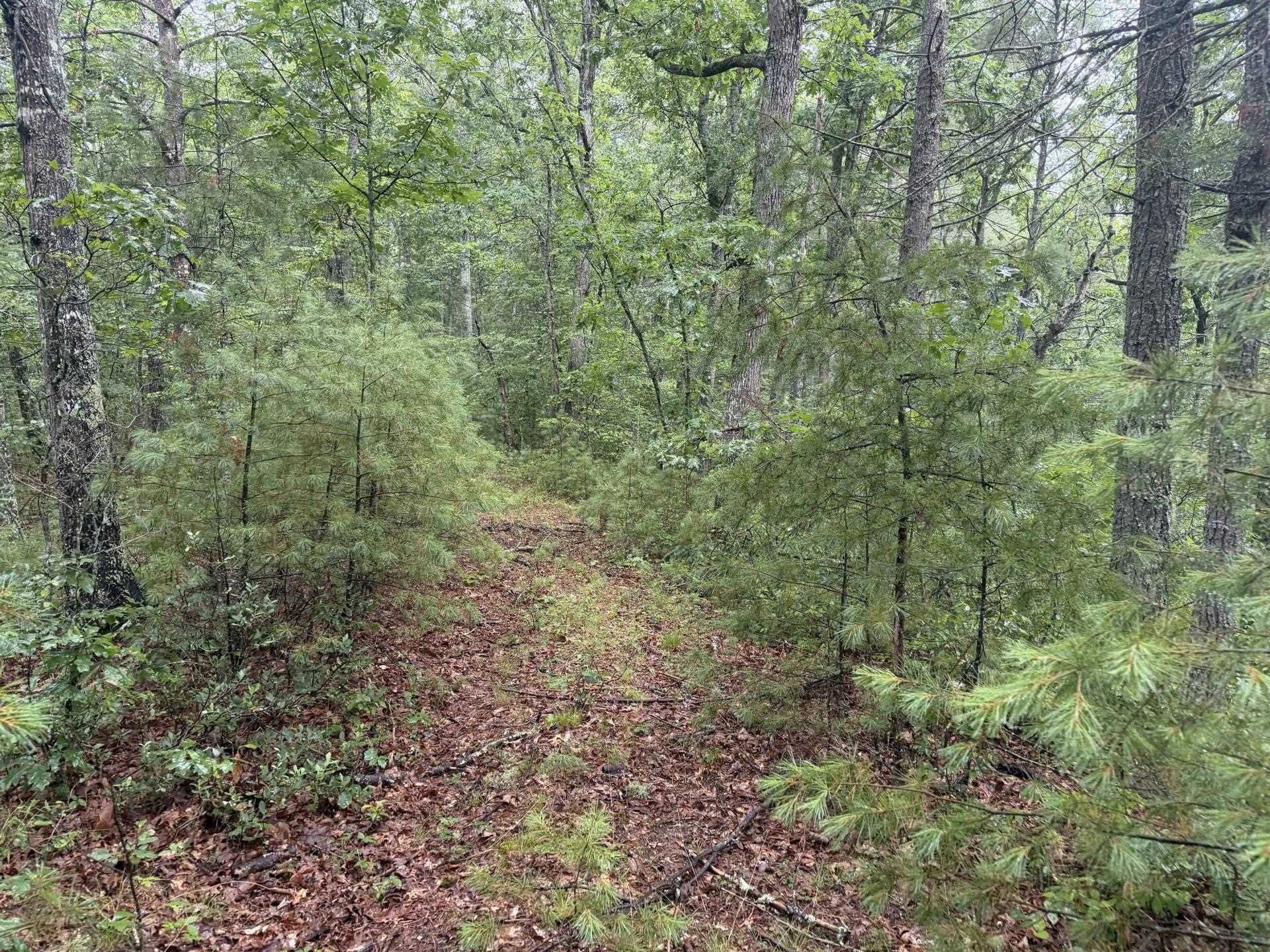 Tbd Short Ridge Drive Bland VA 24315