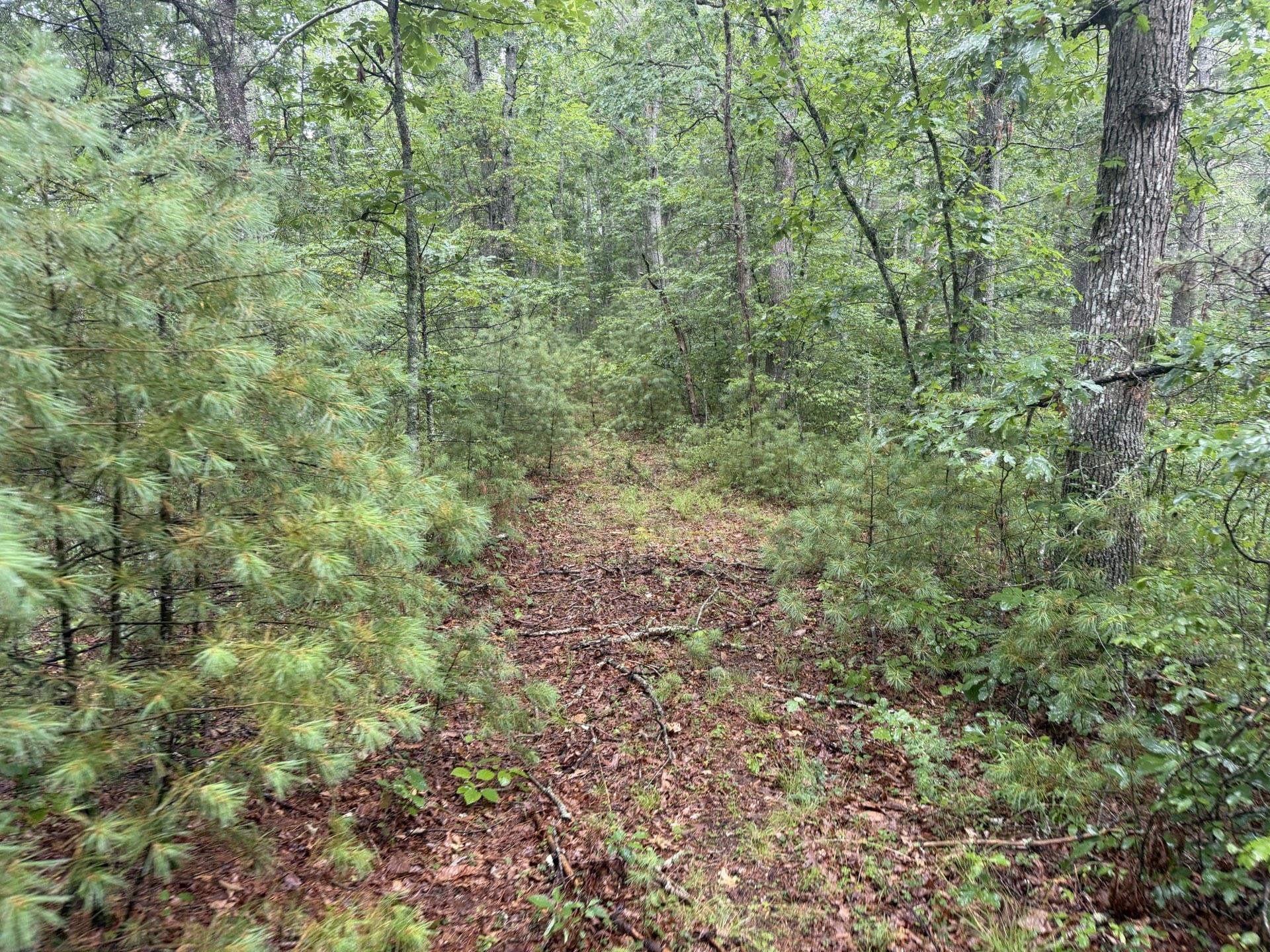 Tbd Short Ridge Drive Bland VA 24315