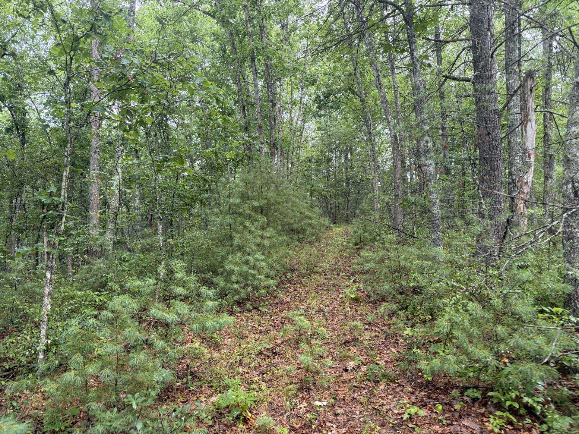 Tbd Short Ridge Drive Bland VA 24315