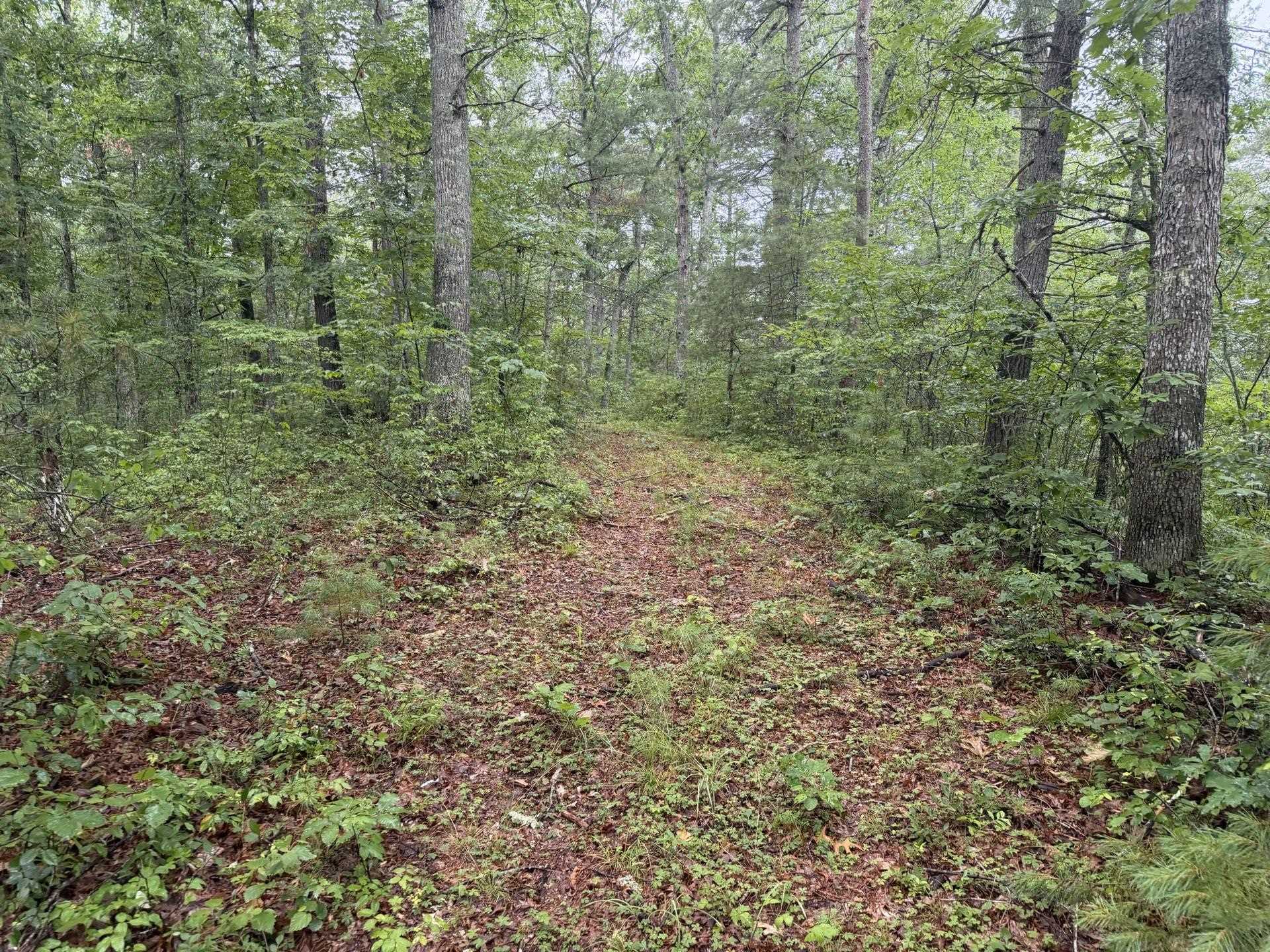 Tbd Short Ridge Drive Bland VA 24315