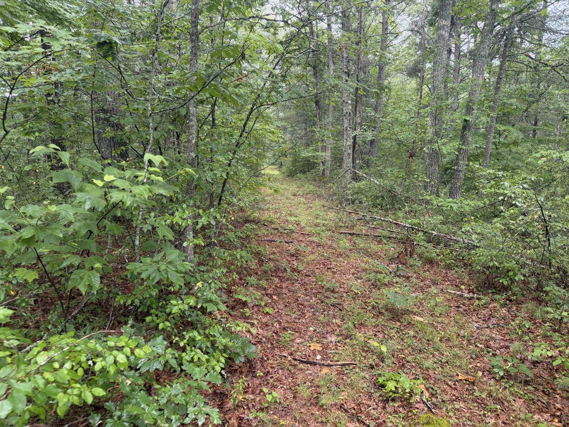 Tbd Short Ridge Drive Bland VA 24315