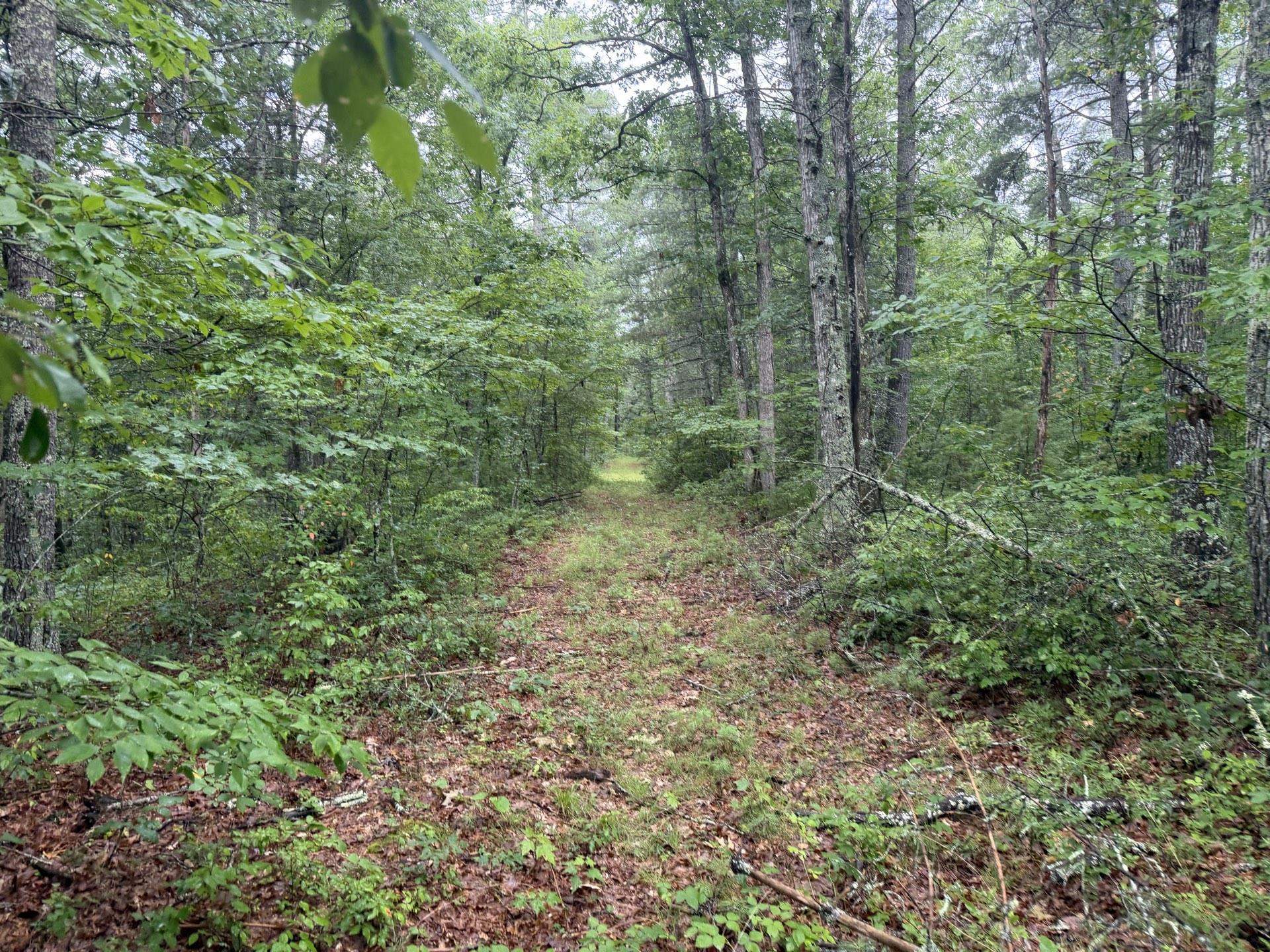 Tbd Short Ridge Drive Bland VA 24315