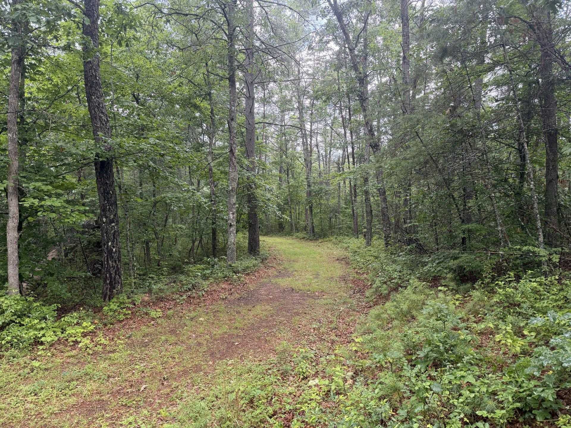 Tbd Short Ridge Drive Bland VA 24315
