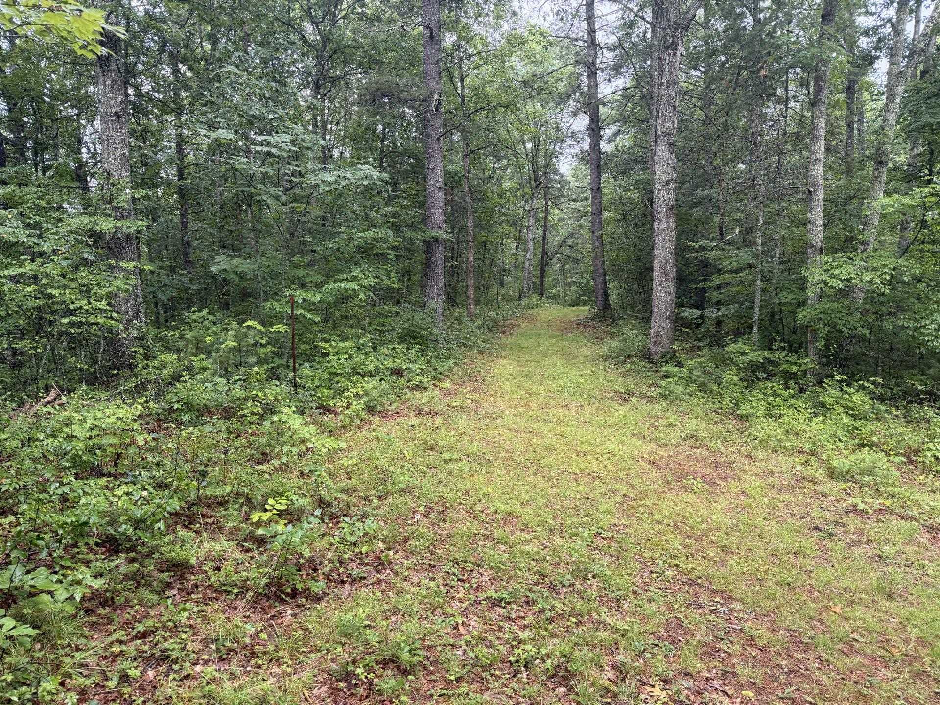 Tbd Short Ridge Drive Bland VA 24315