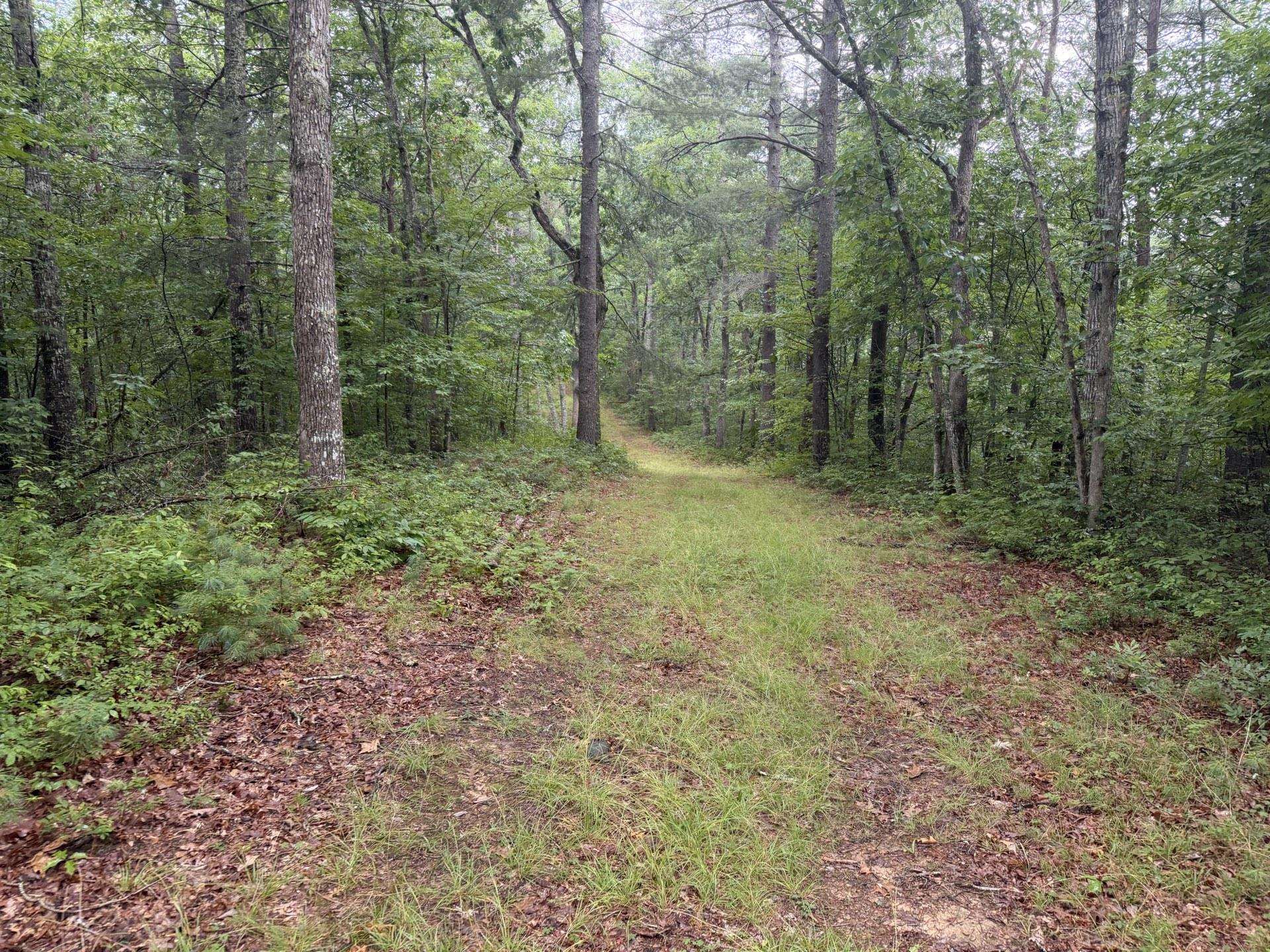 Tbd Short Ridge Drive Bland VA 24315