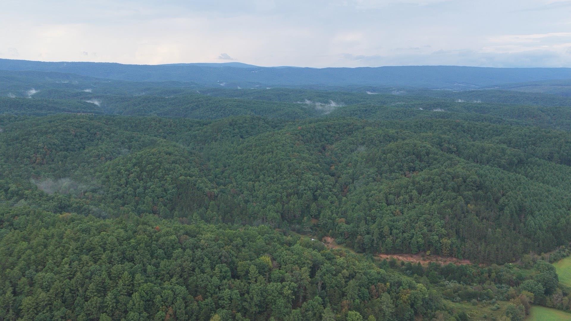 Tbd Short Ridge Drive Bland VA 24315