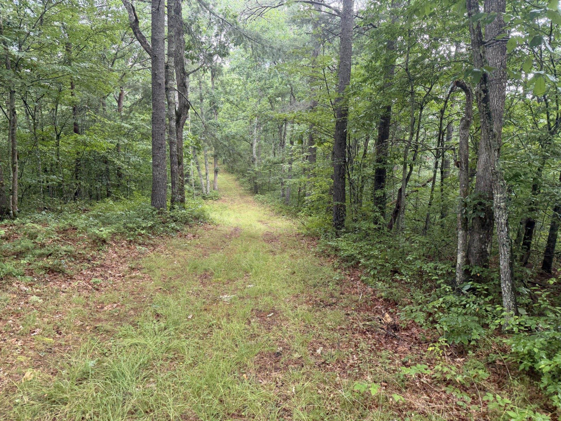 Tbd Short Ridge Drive Bland VA 24315