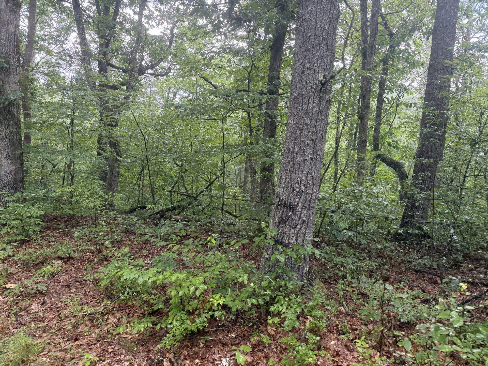 Tbd Short Ridge Drive Bland VA 24315