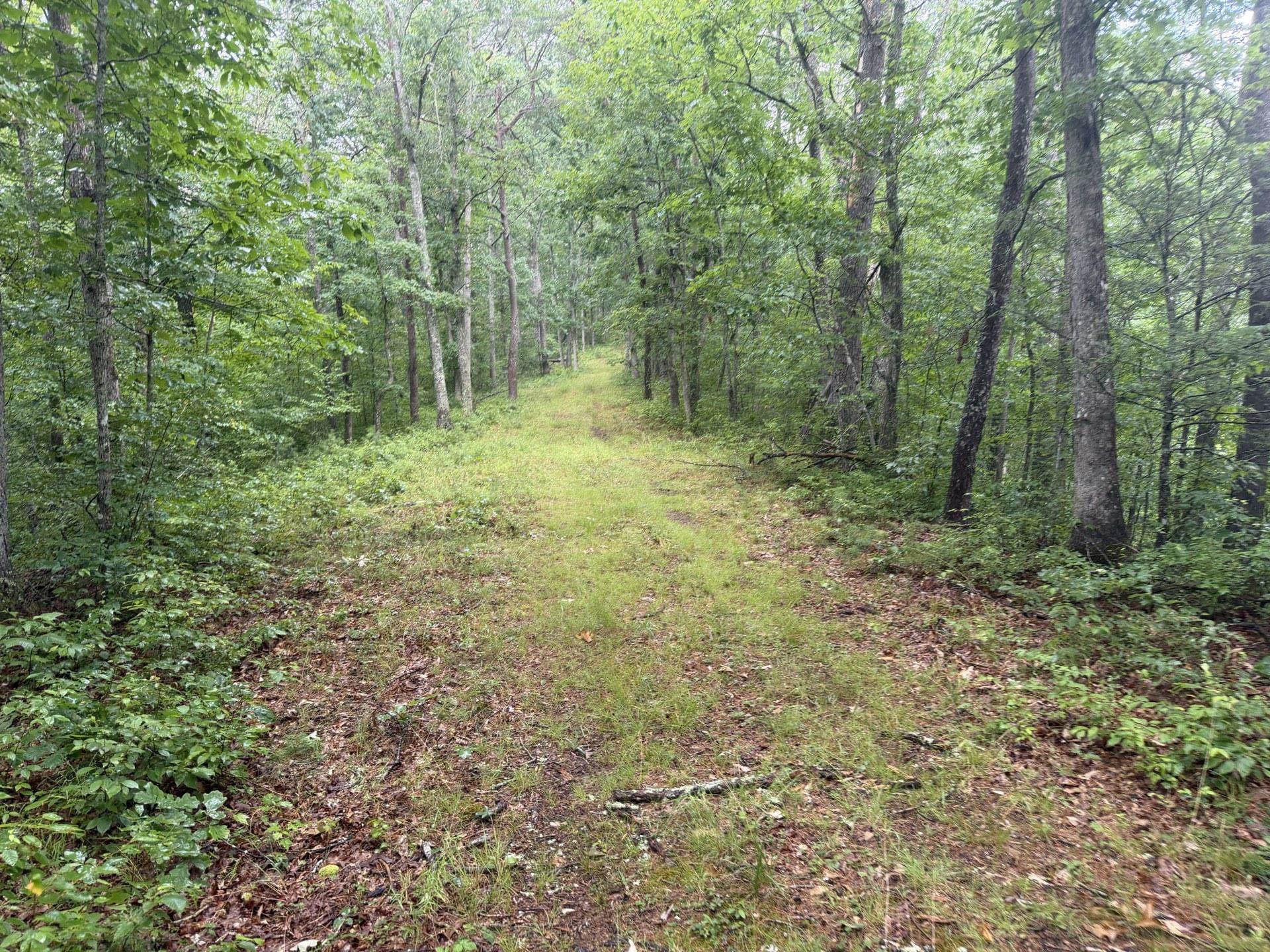 Tbd Short Ridge Drive Bland VA 24315