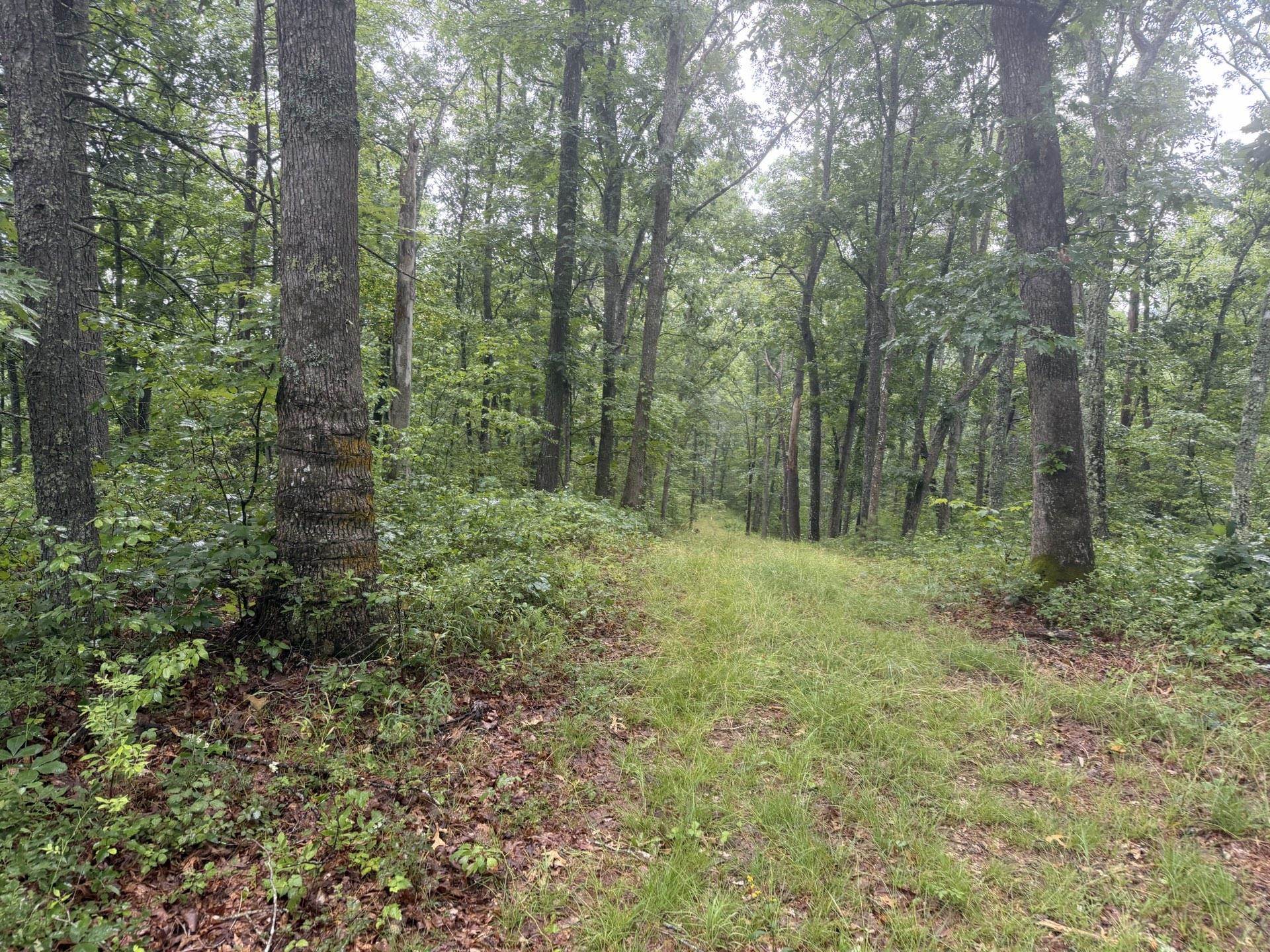 Tbd Short Ridge Drive Bland VA 24315