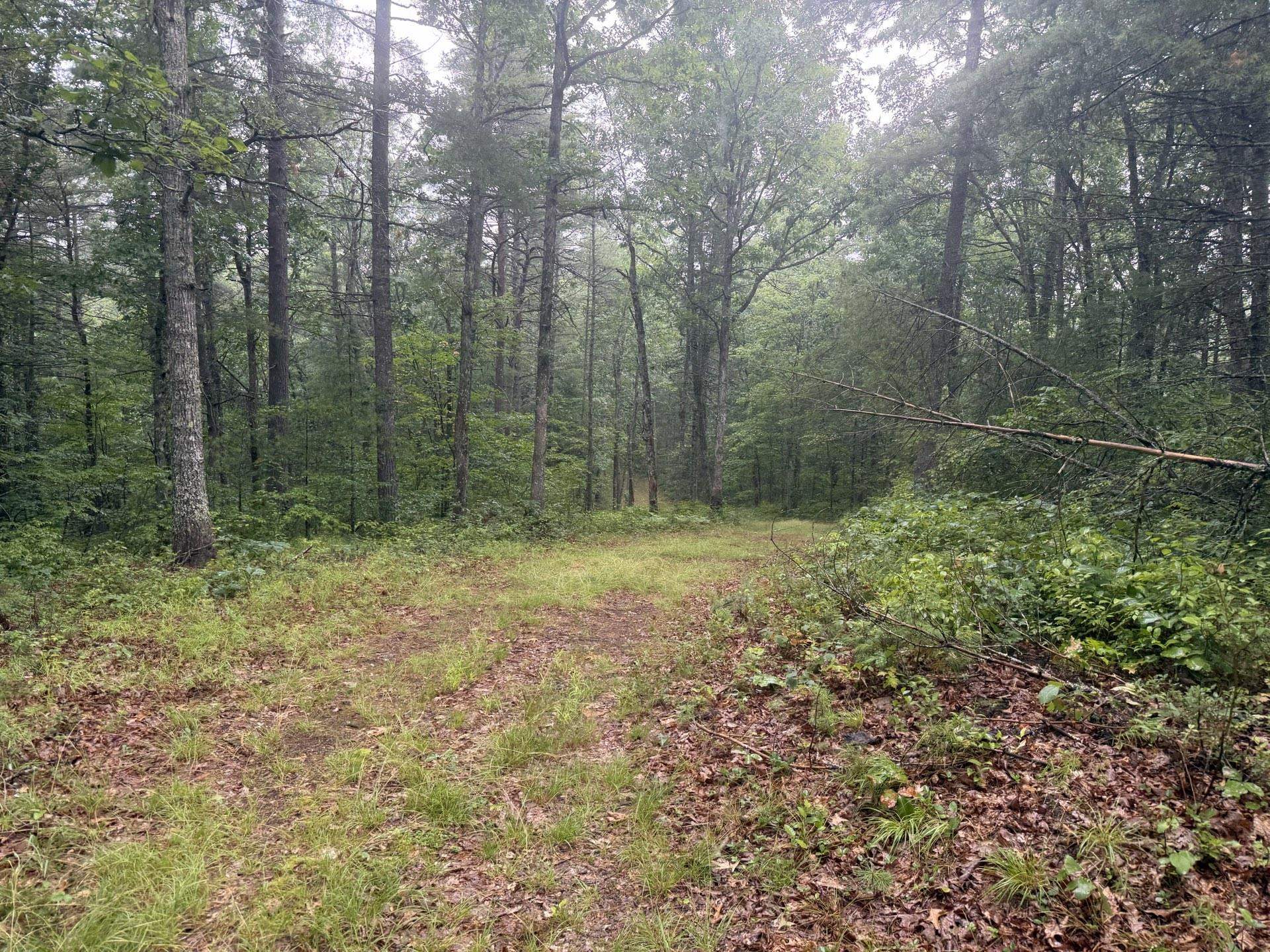 Tbd Short Ridge Drive Bland VA 24315