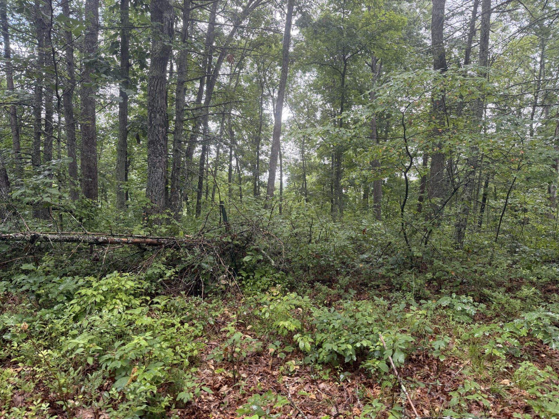 Tbd Short Ridge Drive Bland VA 24315