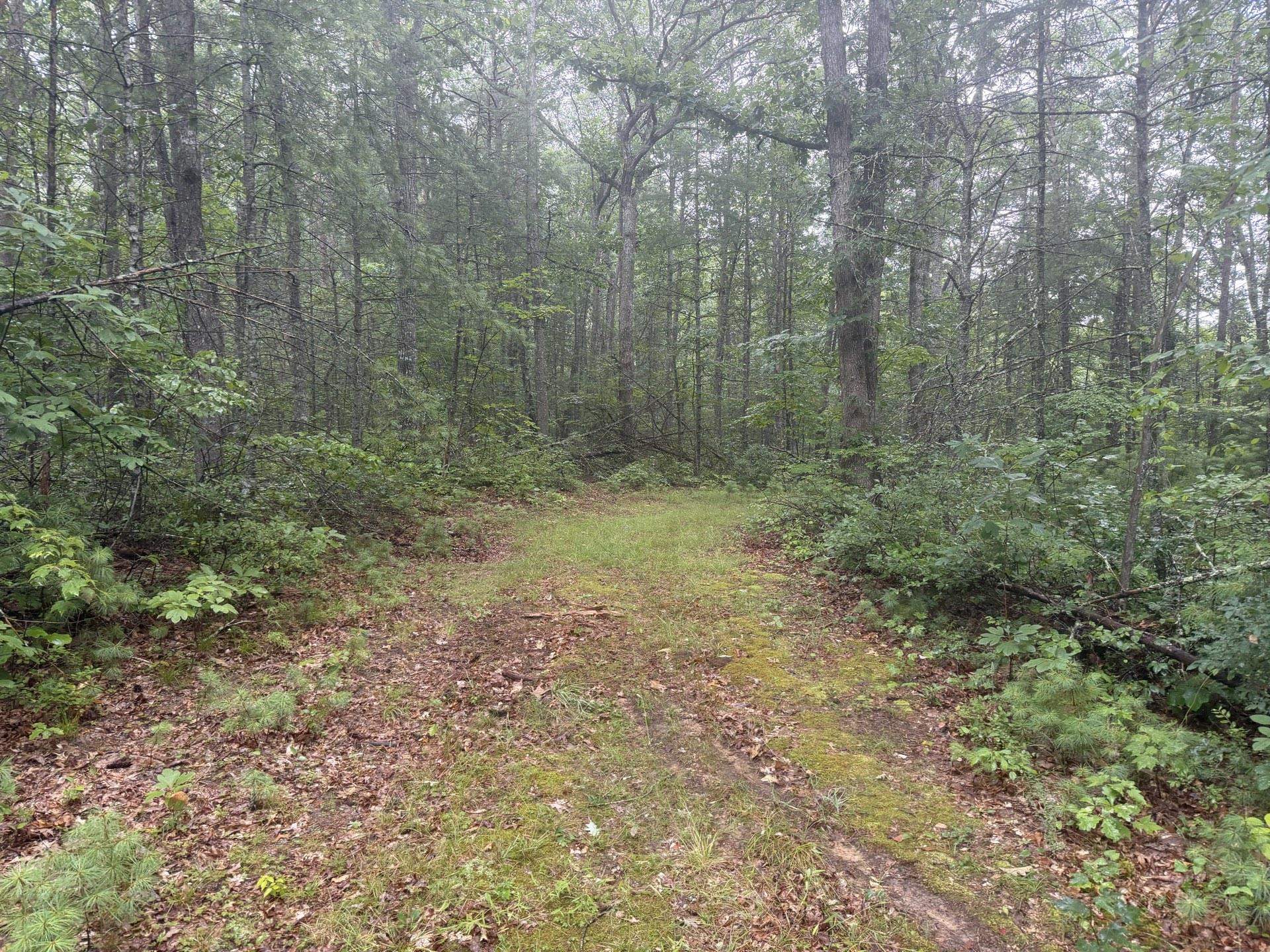 Tbd Short Ridge Drive Bland VA 24315