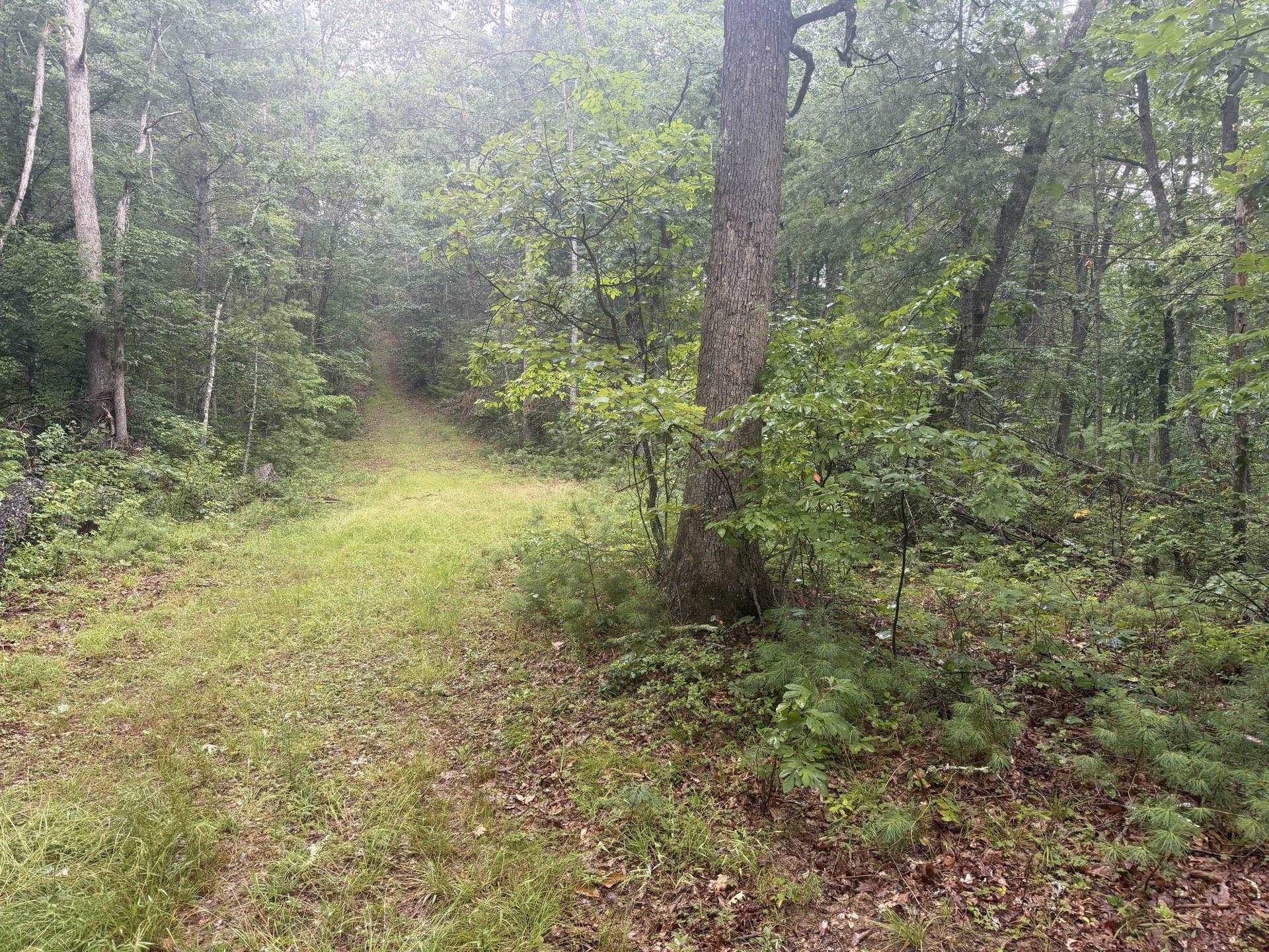 Tbd Short Ridge Drive Bland VA 24315