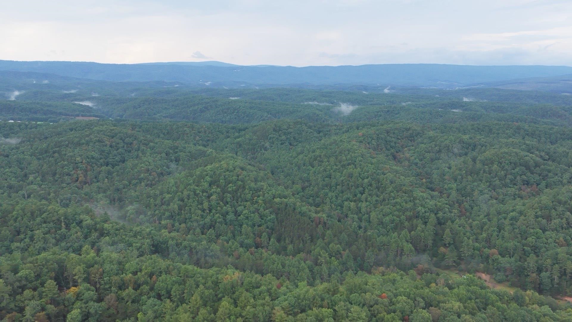 Tbd Short Ridge Drive Bland VA 24315