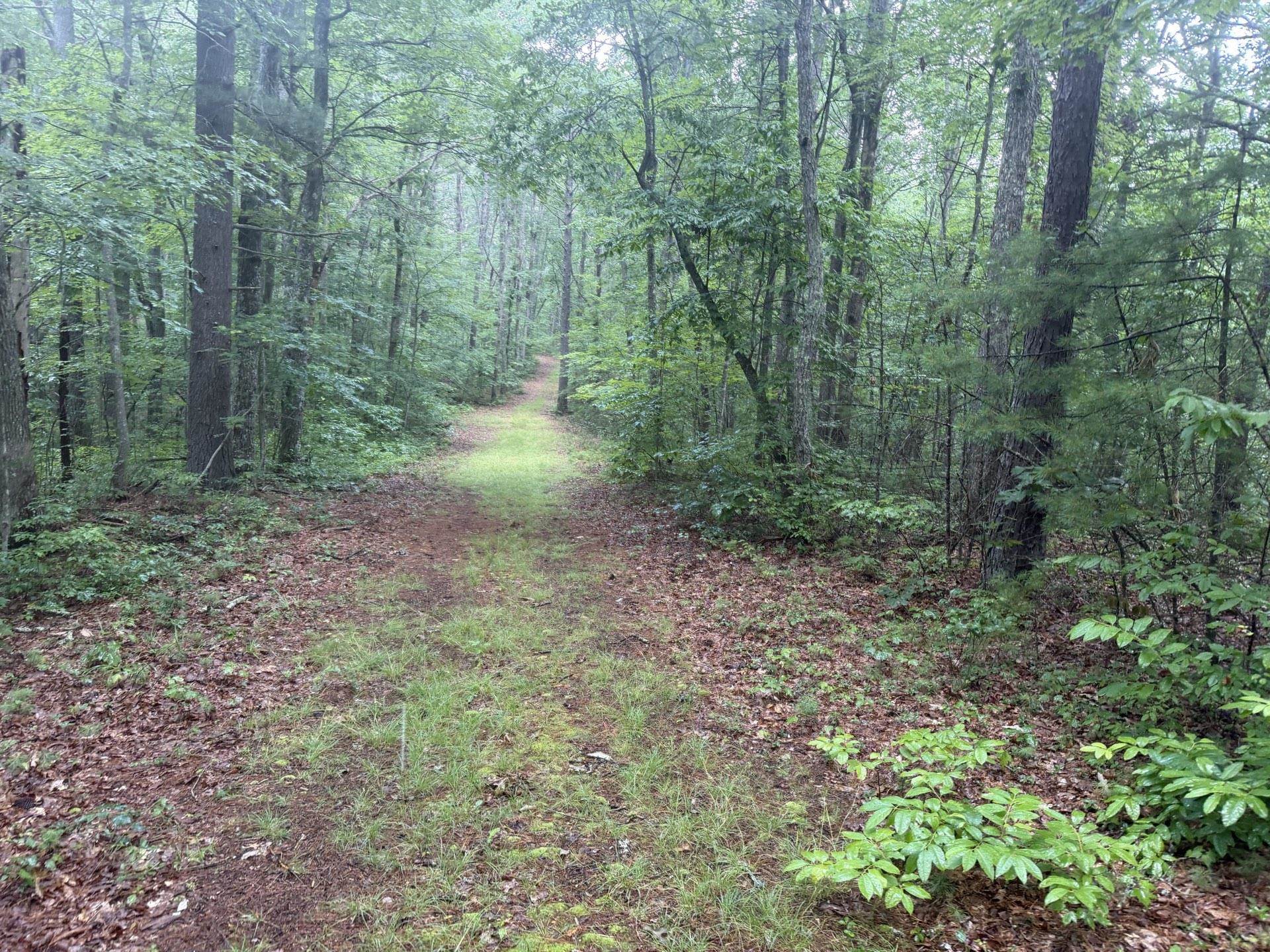 Tbd Short Ridge Drive Bland VA 24315
