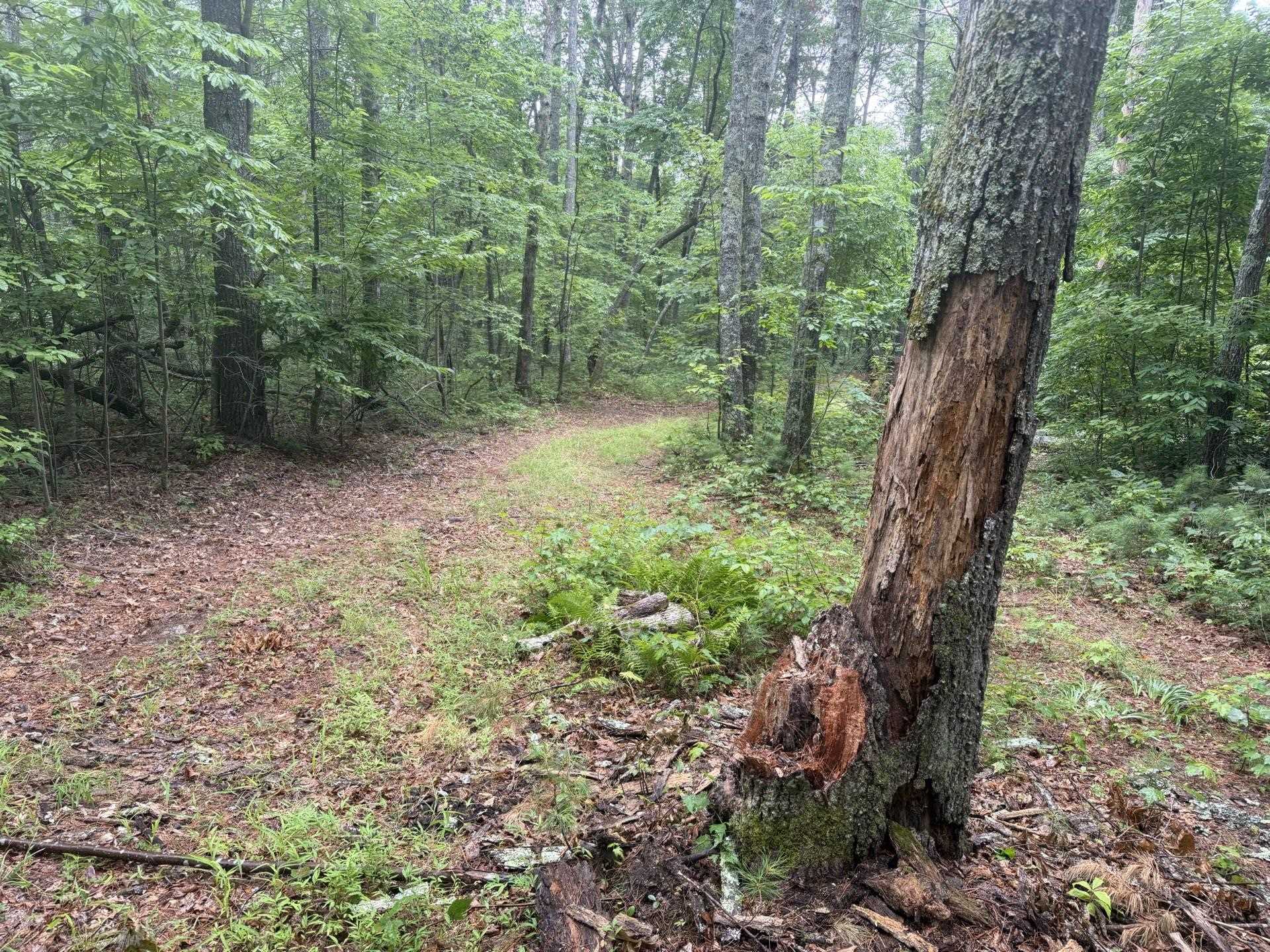 Tbd Short Ridge Drive Bland VA 24315