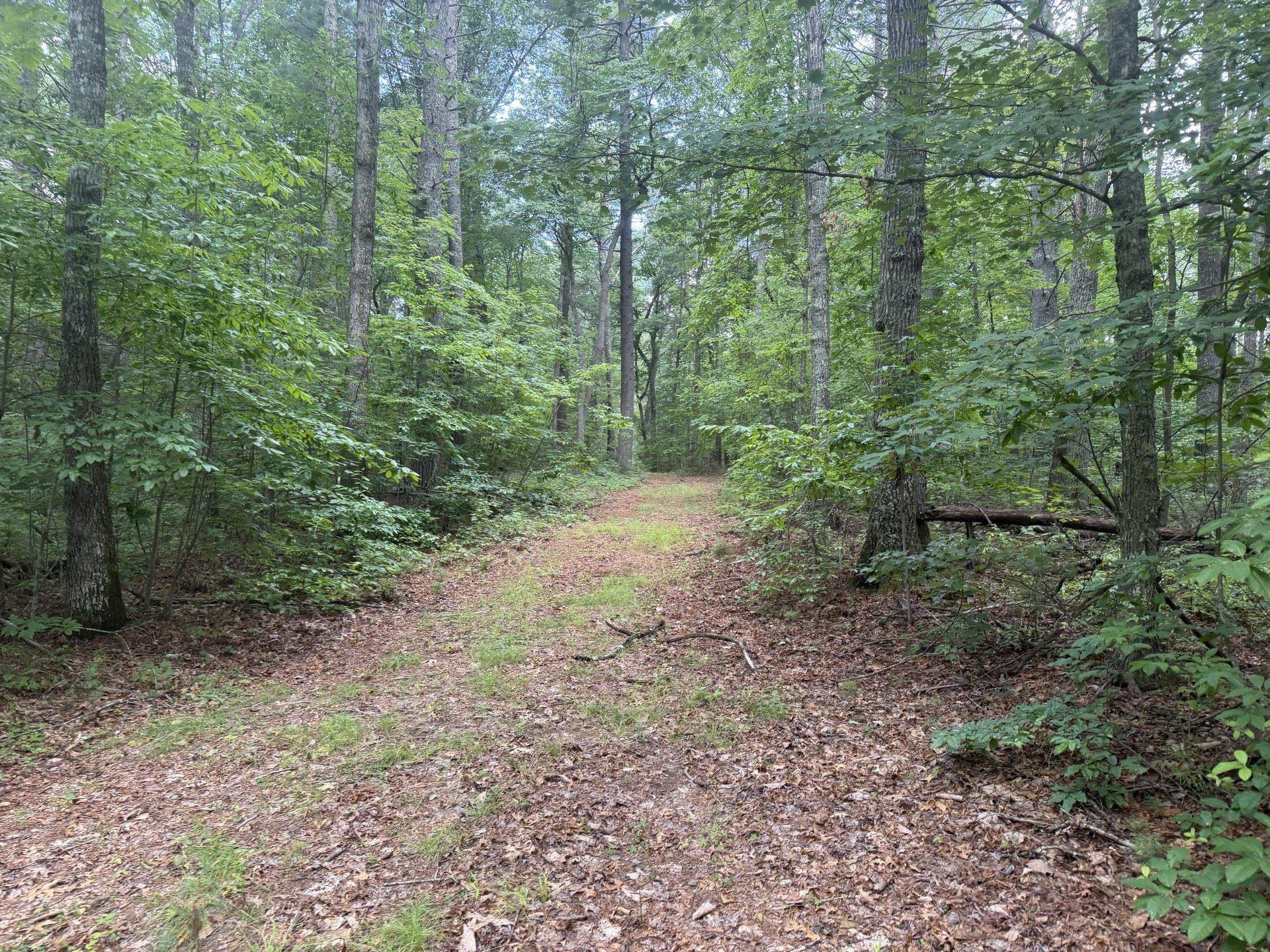 Tbd Short Ridge Drive Bland VA 24315