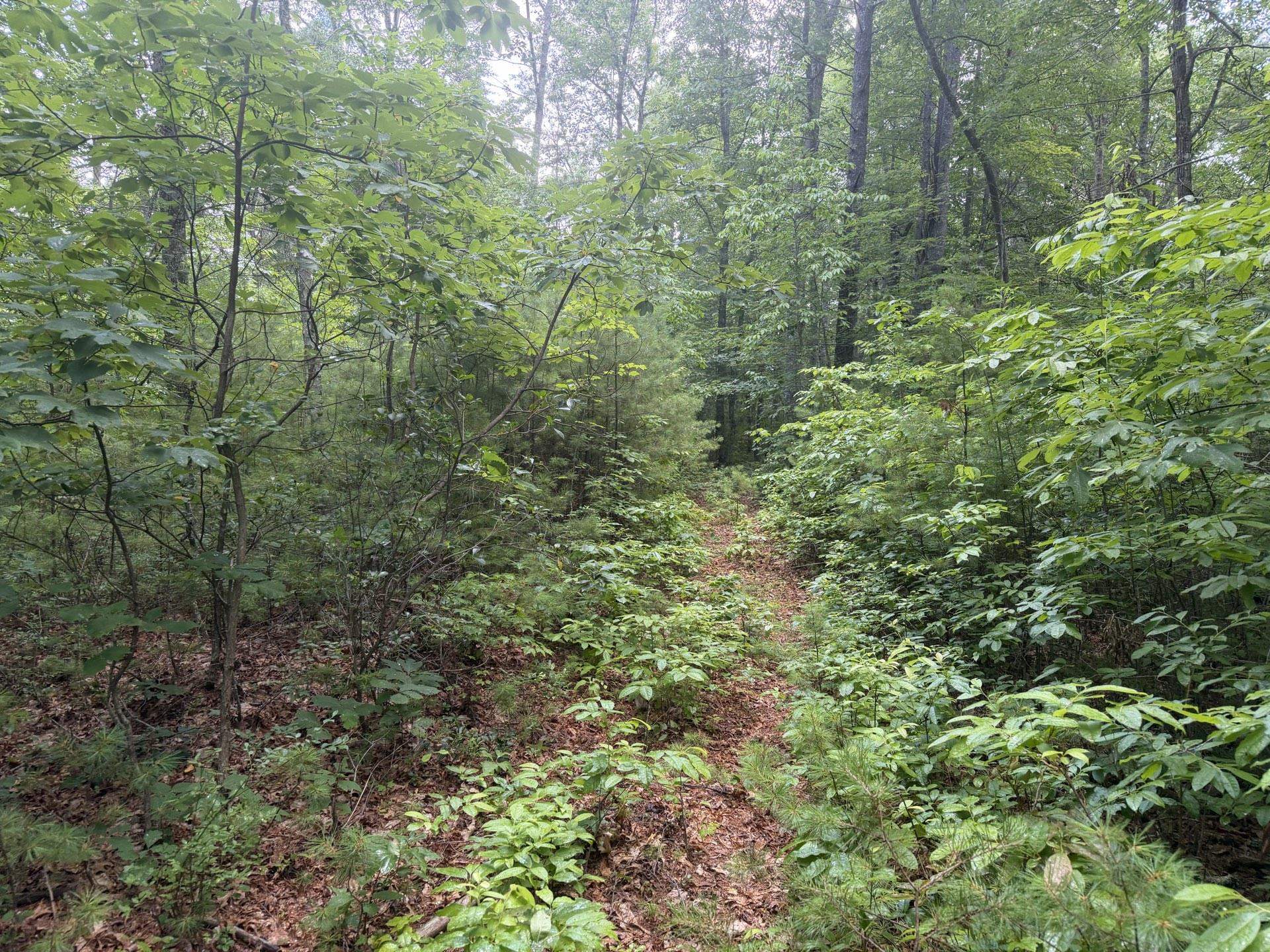 Tbd Short Ridge Drive Bland VA 24315
