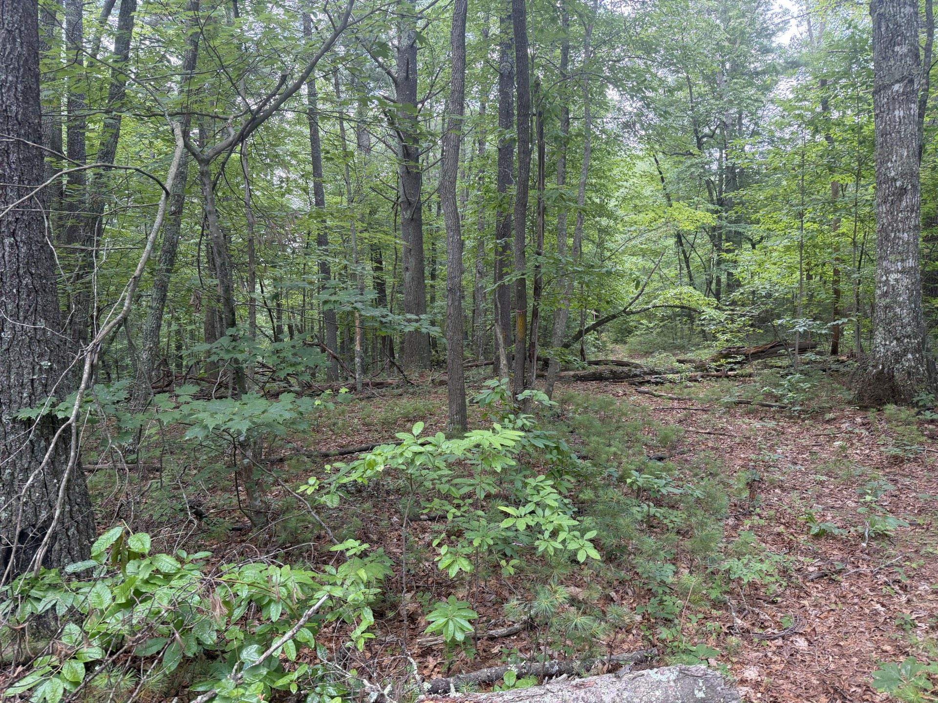 Tbd Short Ridge Drive Bland VA 24315