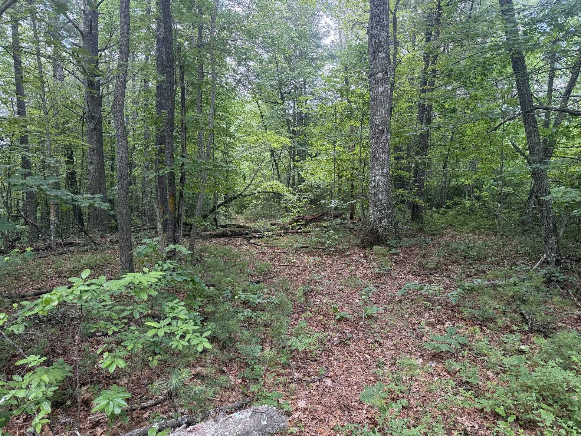 Tbd Short Ridge Drive Bland VA 24315