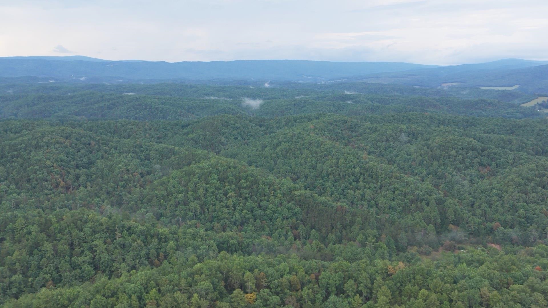 Tbd Short Ridge Drive Bland VA 24315