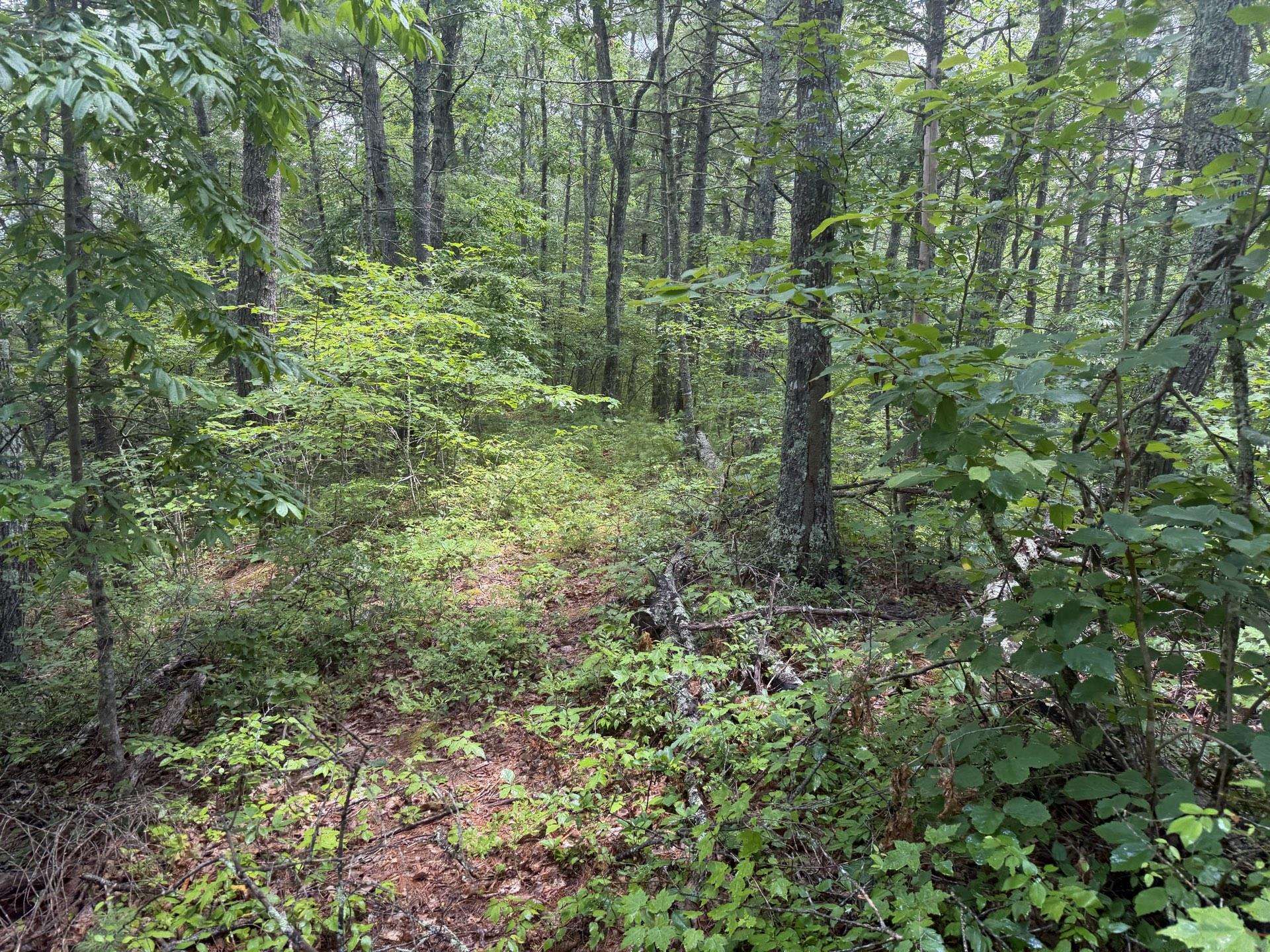 Tbd Short Ridge Drive Bland VA 24315