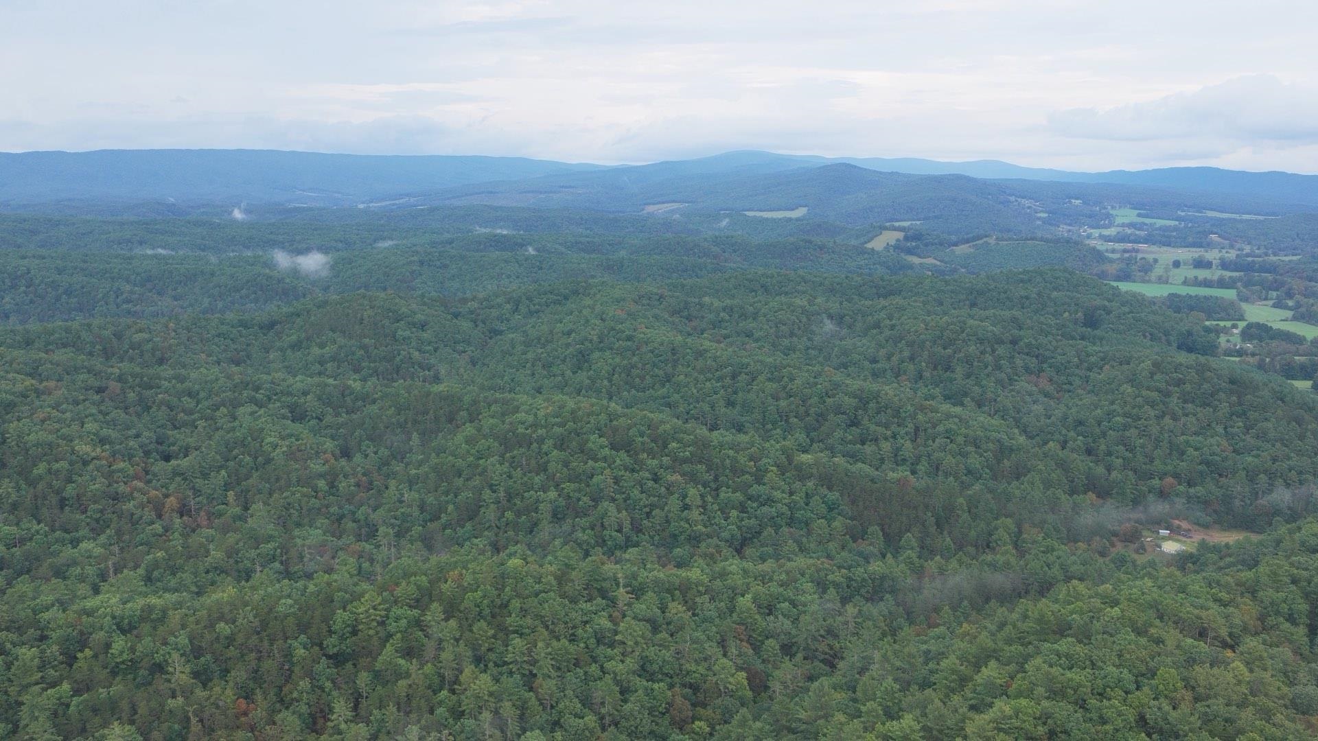 Tbd Short Ridge Drive Bland VA 24315