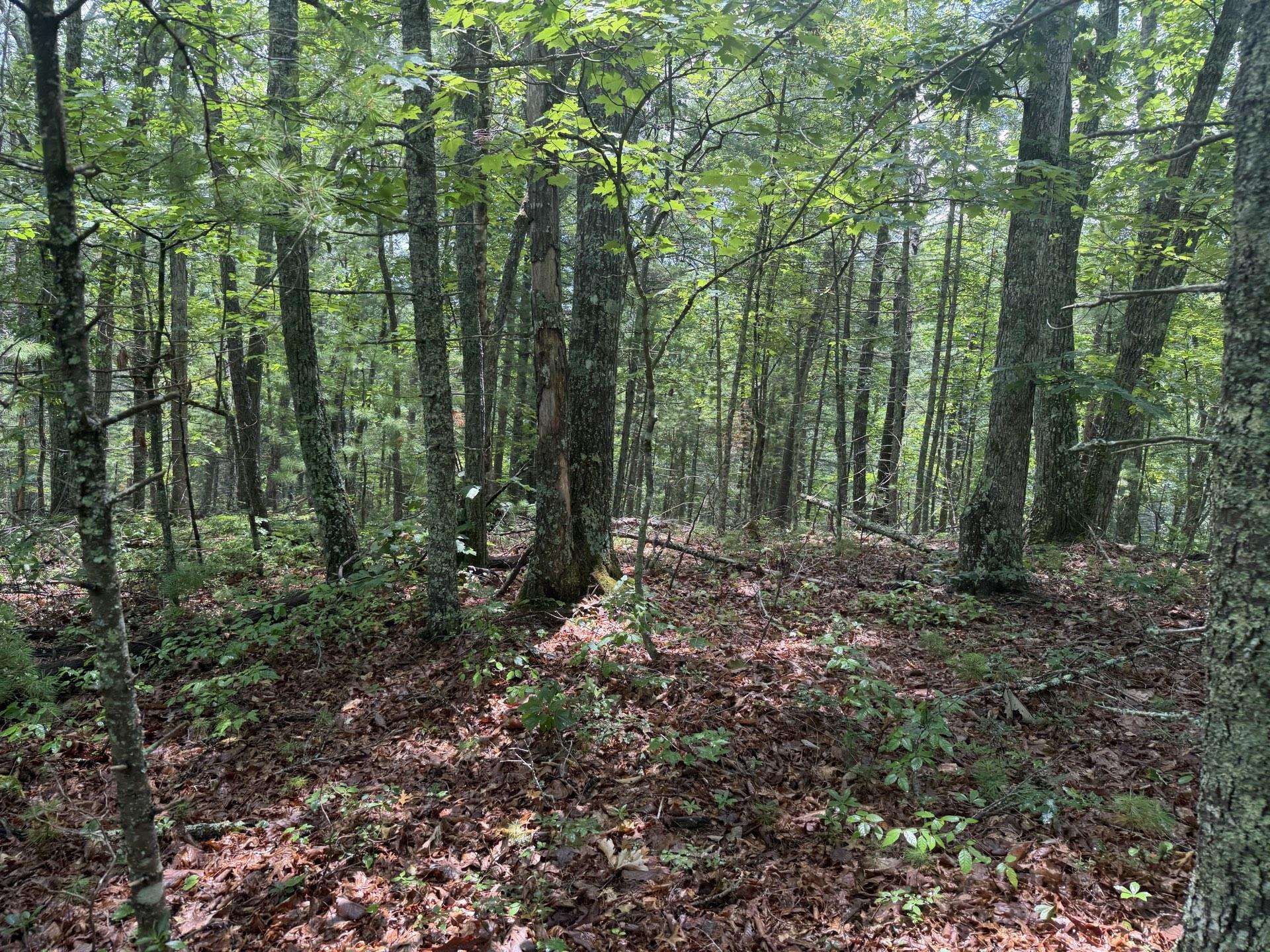 Tbd Short Ridge Drive Bland VA 24315