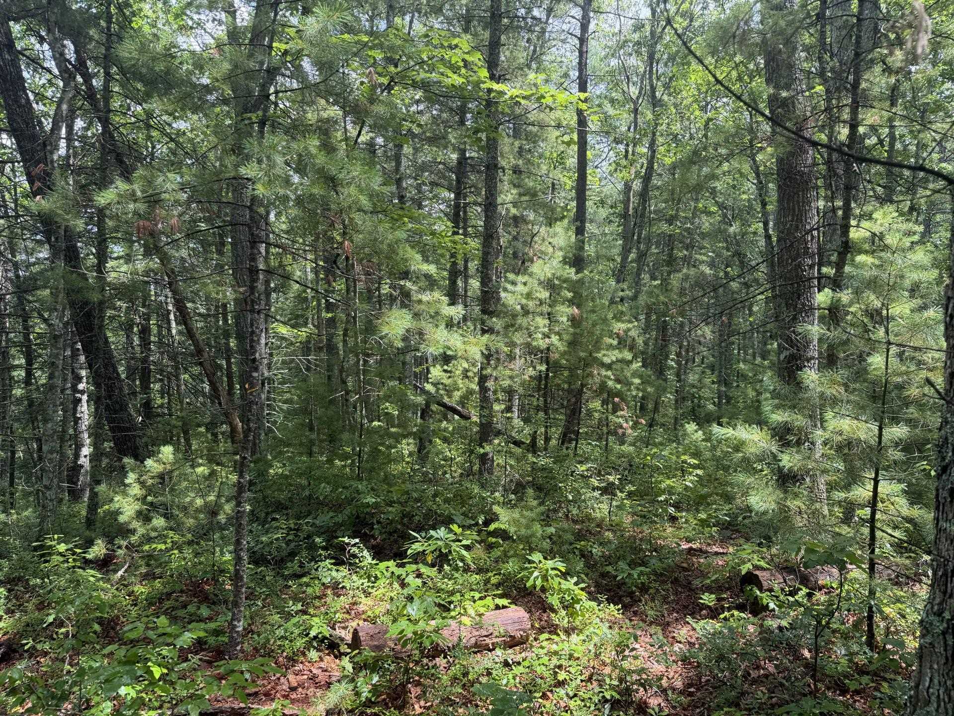 Tbd Short Ridge Drive Bland VA 24315