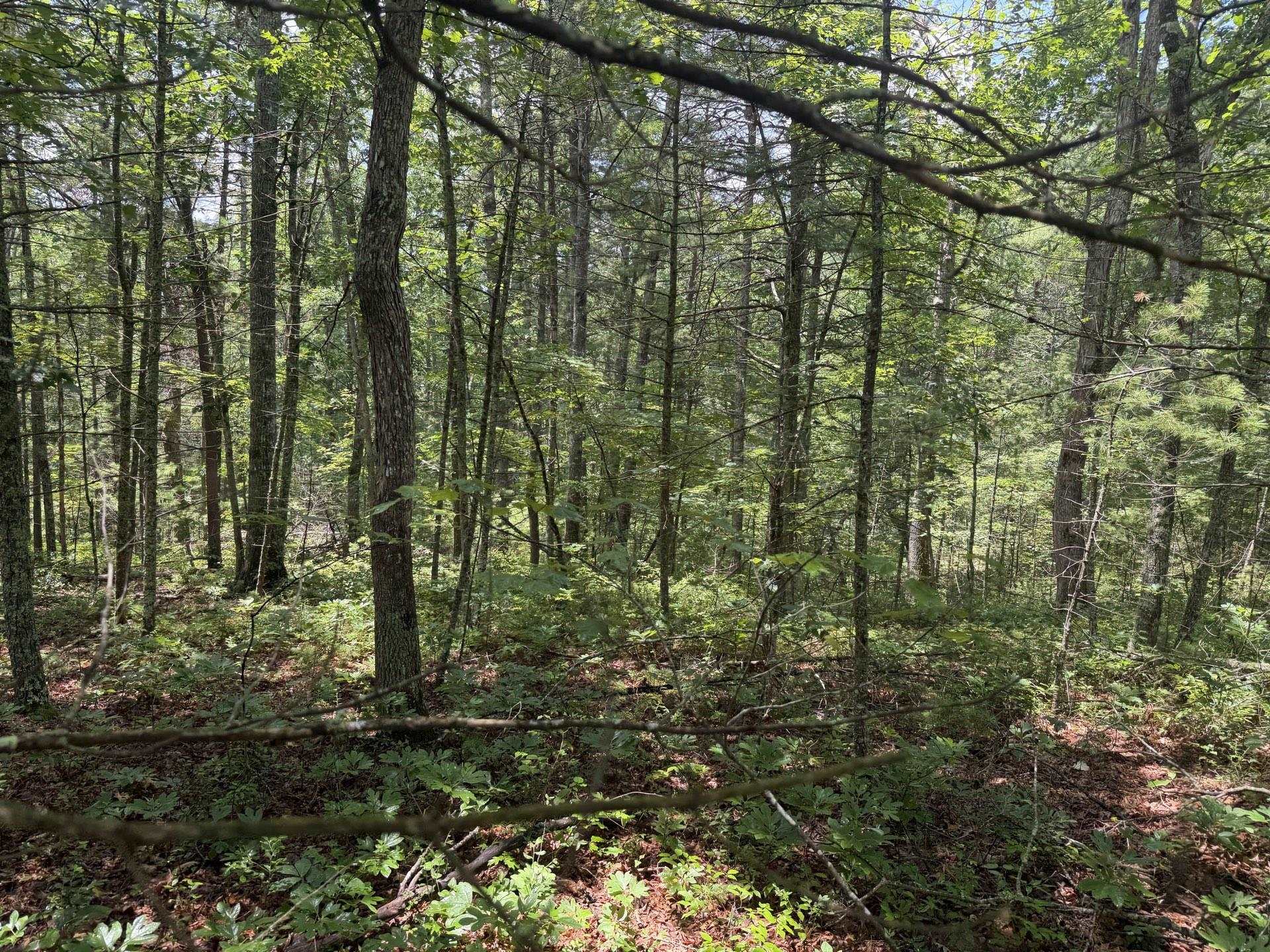 Tbd Short Ridge Drive Bland VA 24315