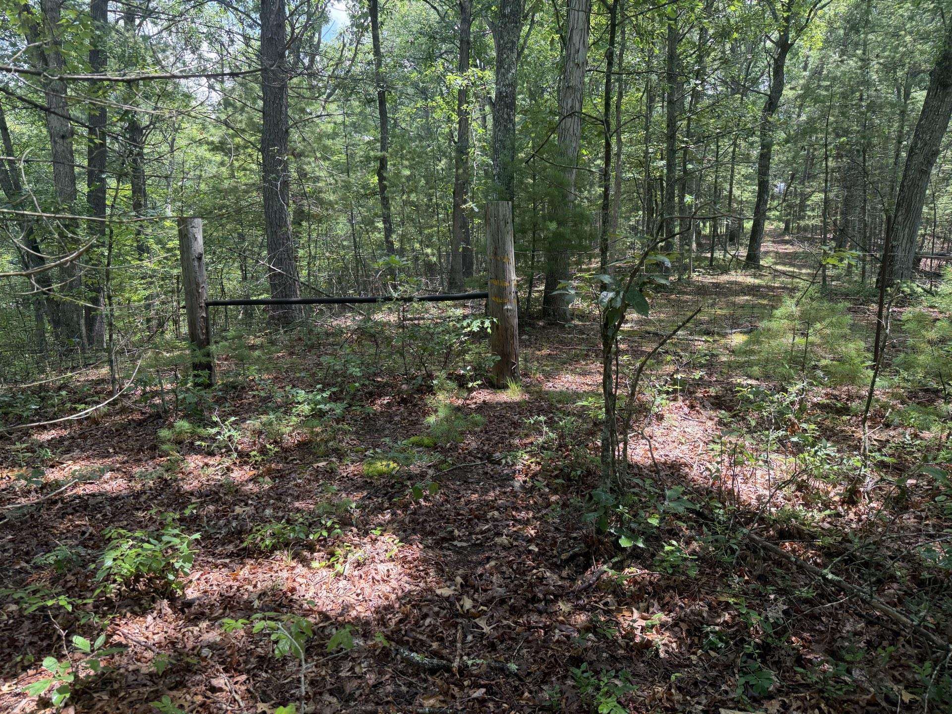 Tbd Short Ridge Drive Bland VA 24315