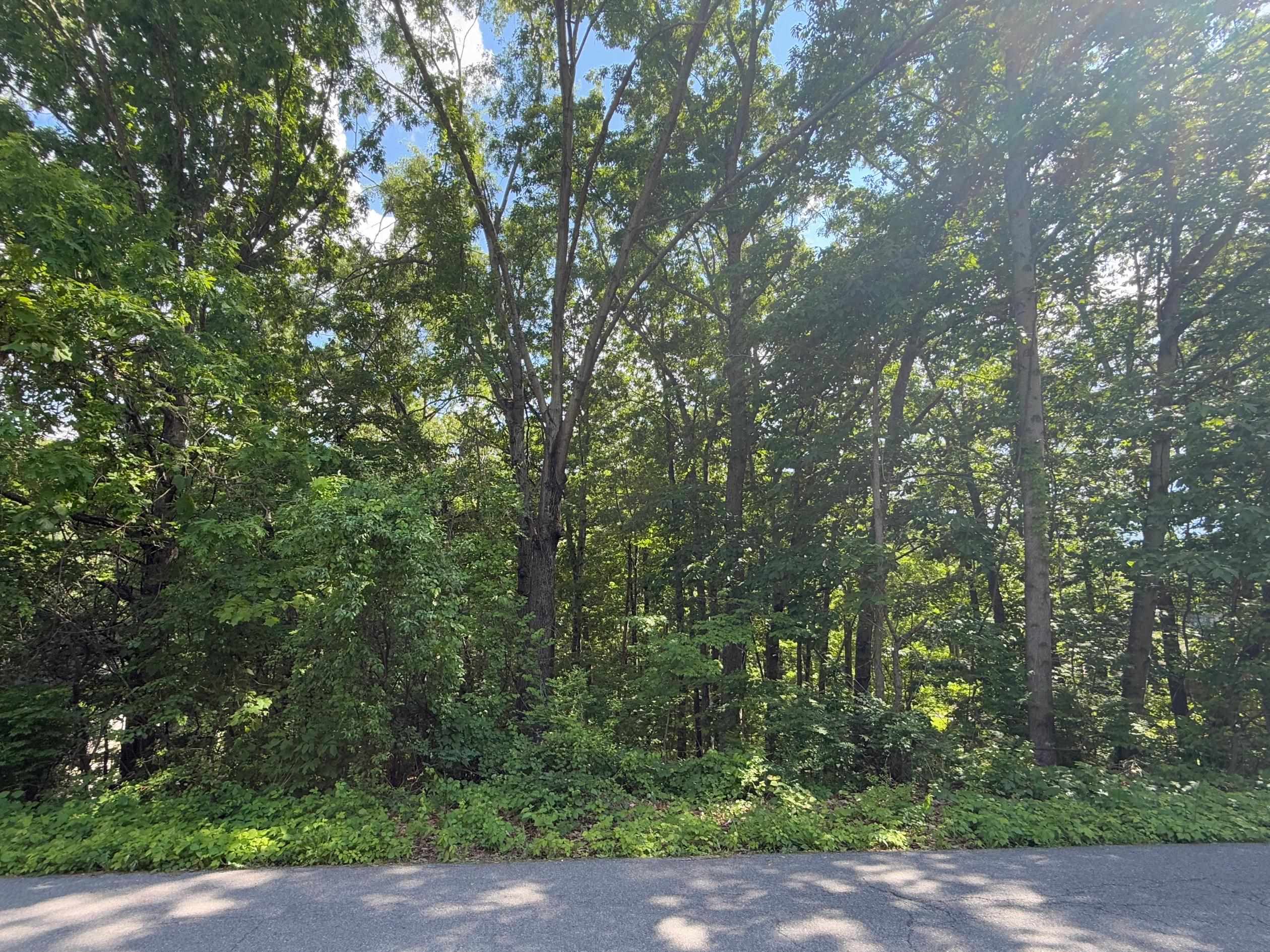 1235 Sherwood Drive Christiansburg VA 24073