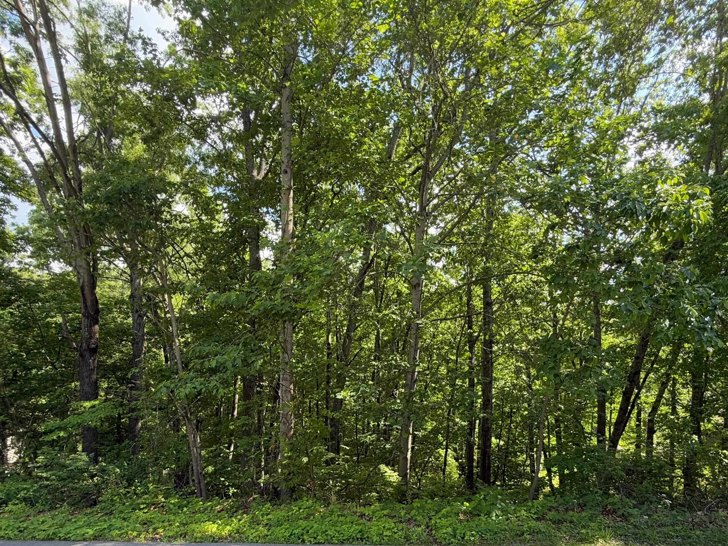 1235 Sherwood Drive Christiansburg VA 24073