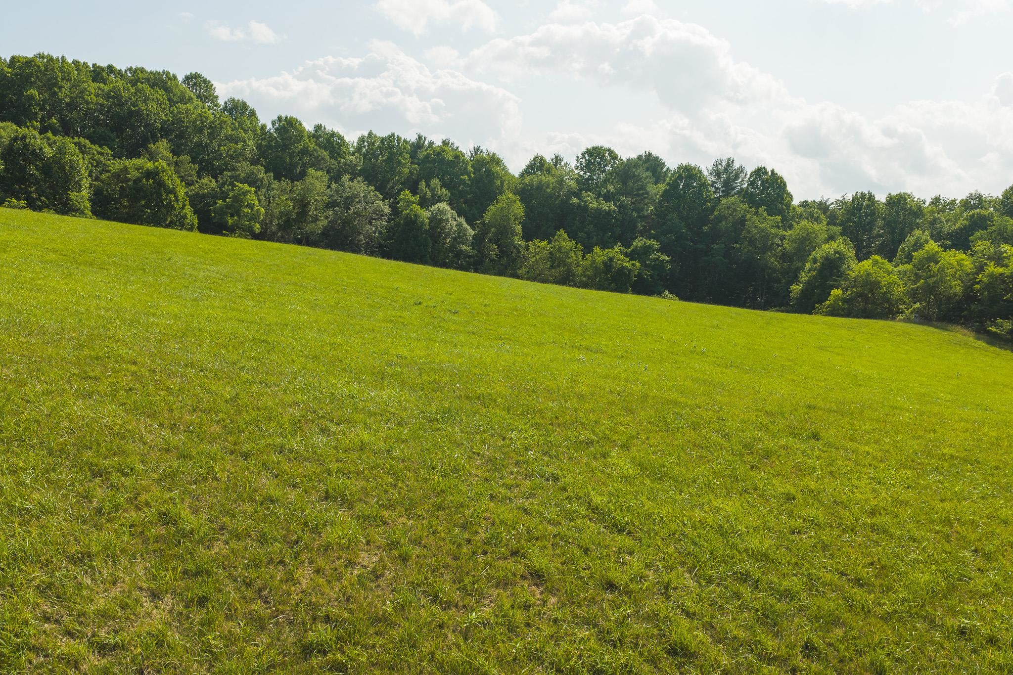 Lot 2 Brush Creek Road Riner VA 24149