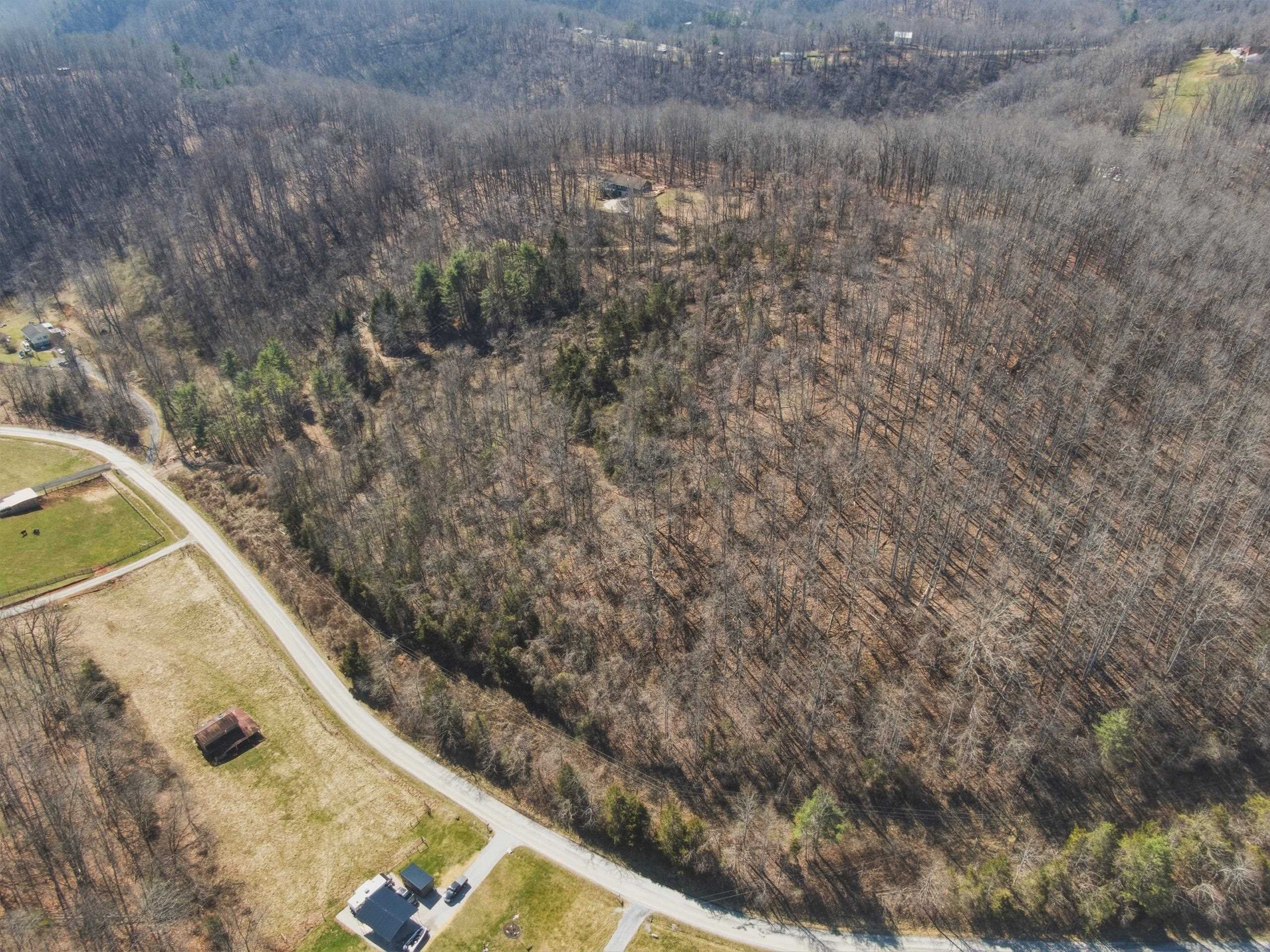 Tbd Georges Run Road Shawsville VA 24162
