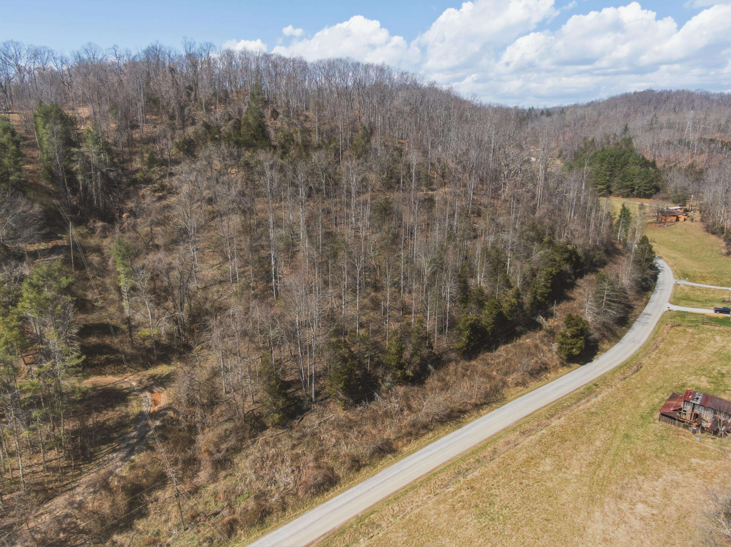 Tbd Georges Run Road Shawsville VA 24162