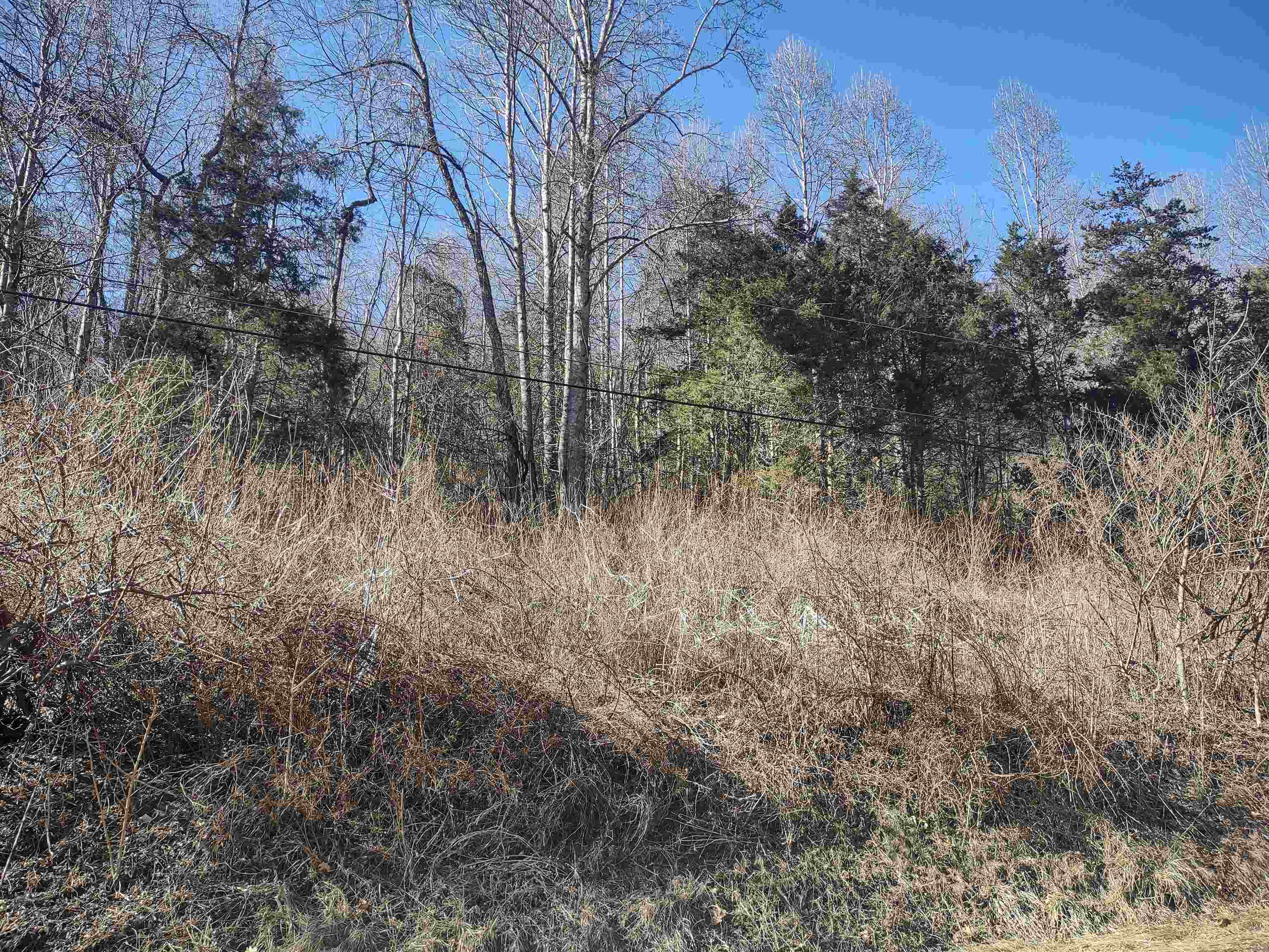 Tbd Georges Run Road Shawsville VA 24162